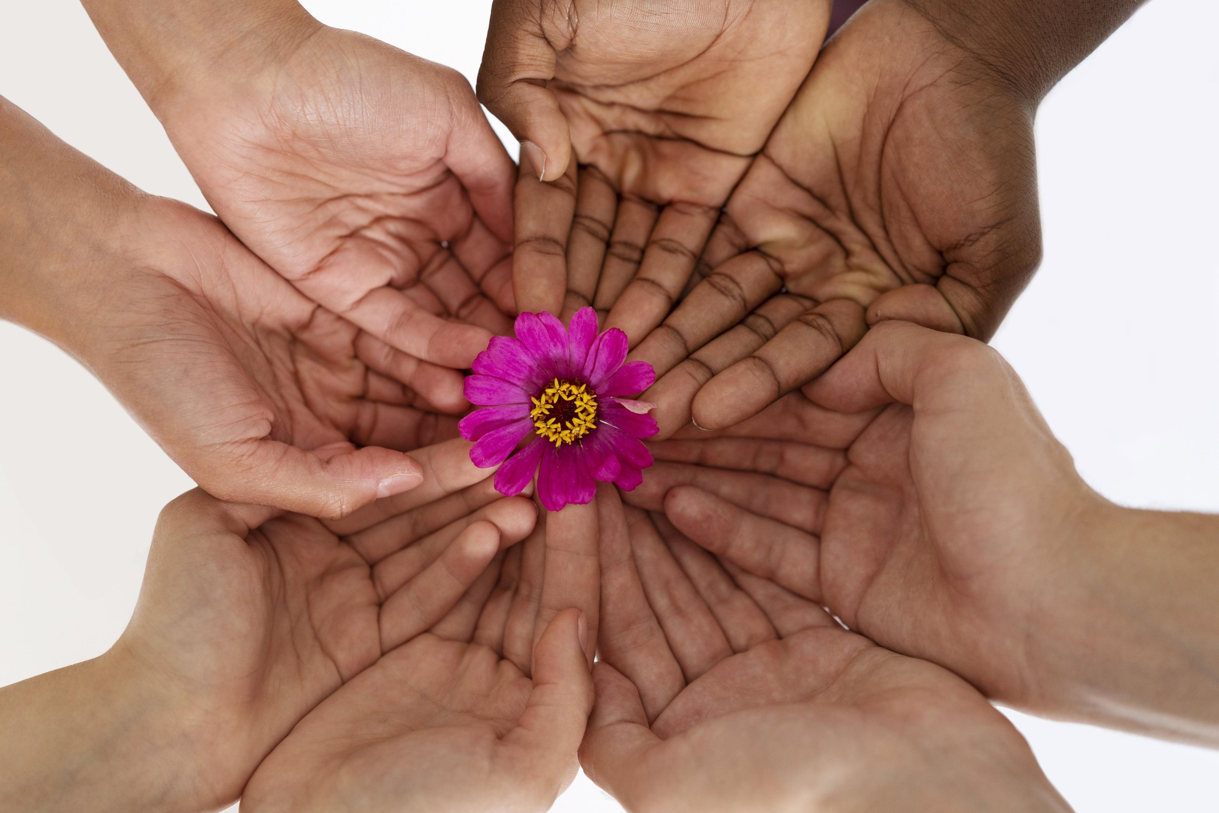 Rediscovering Integrity