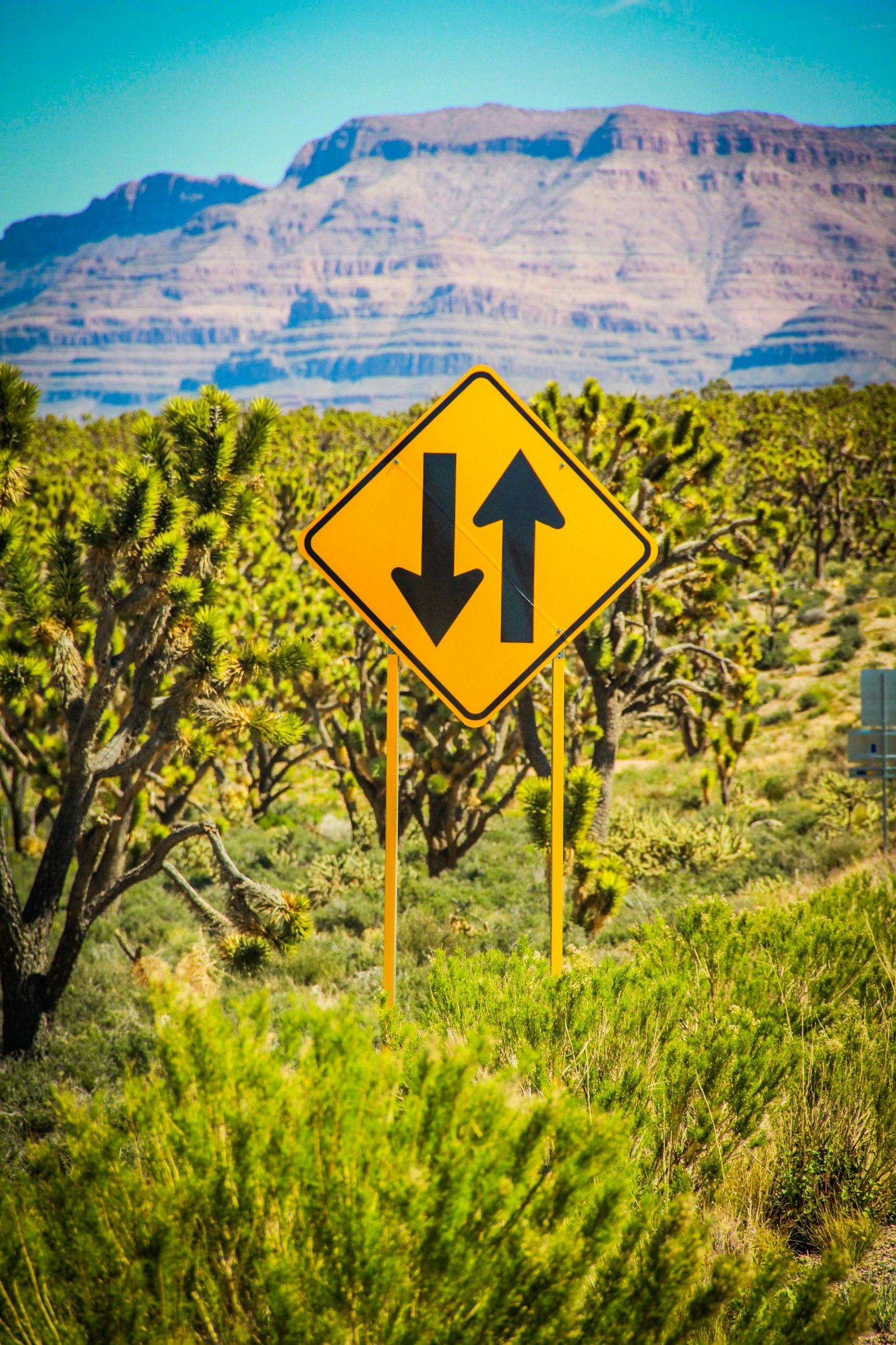 Wills vs. Trusts: What Every Family Should Know