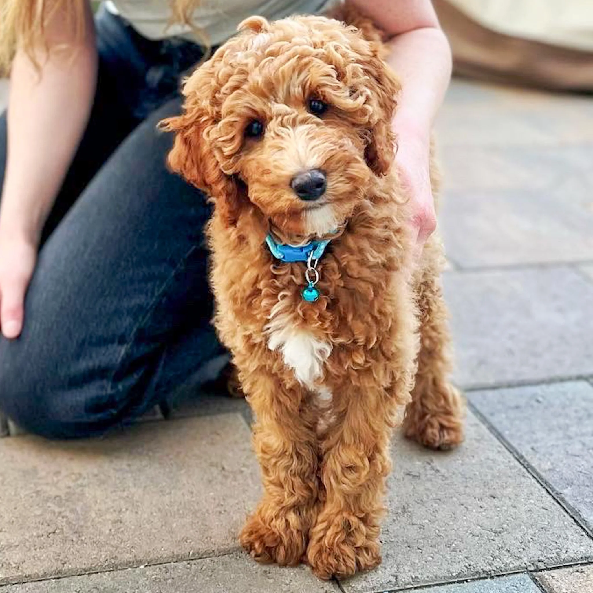 AD679994-413B-4A66-906F-A6EF1C2C71E0 2.JPG