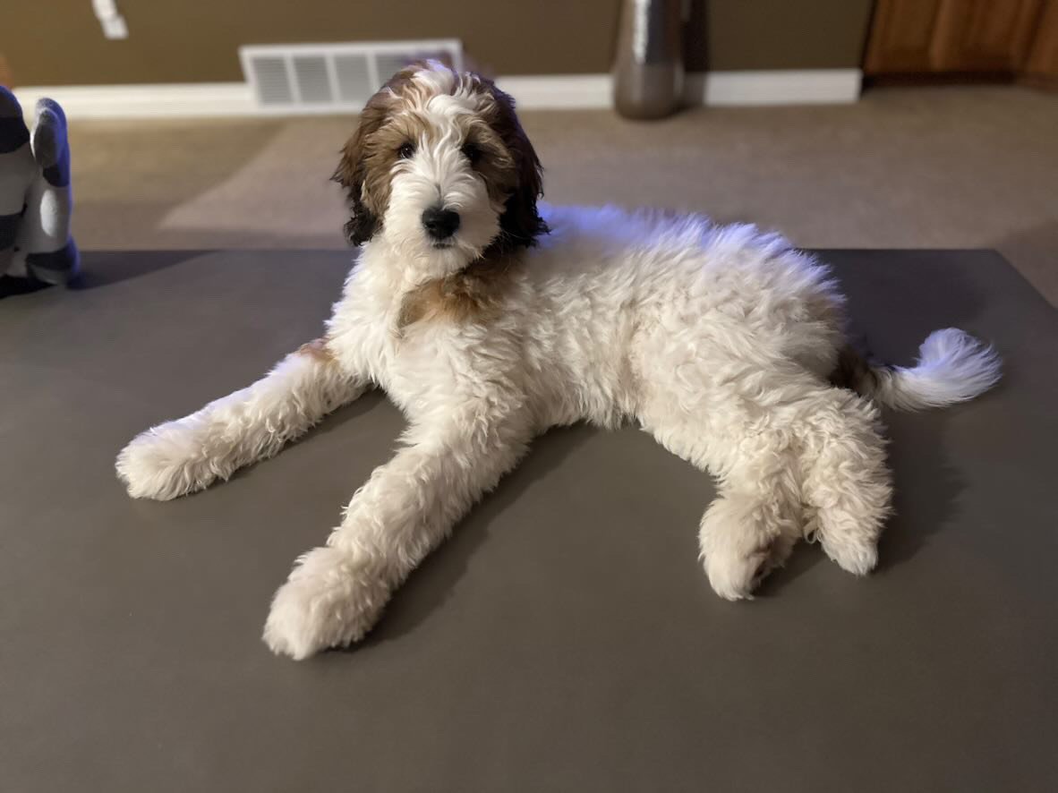 C6B5574E-CD4F-4F3A-8D34-65BEB8922381 (1).jpeg