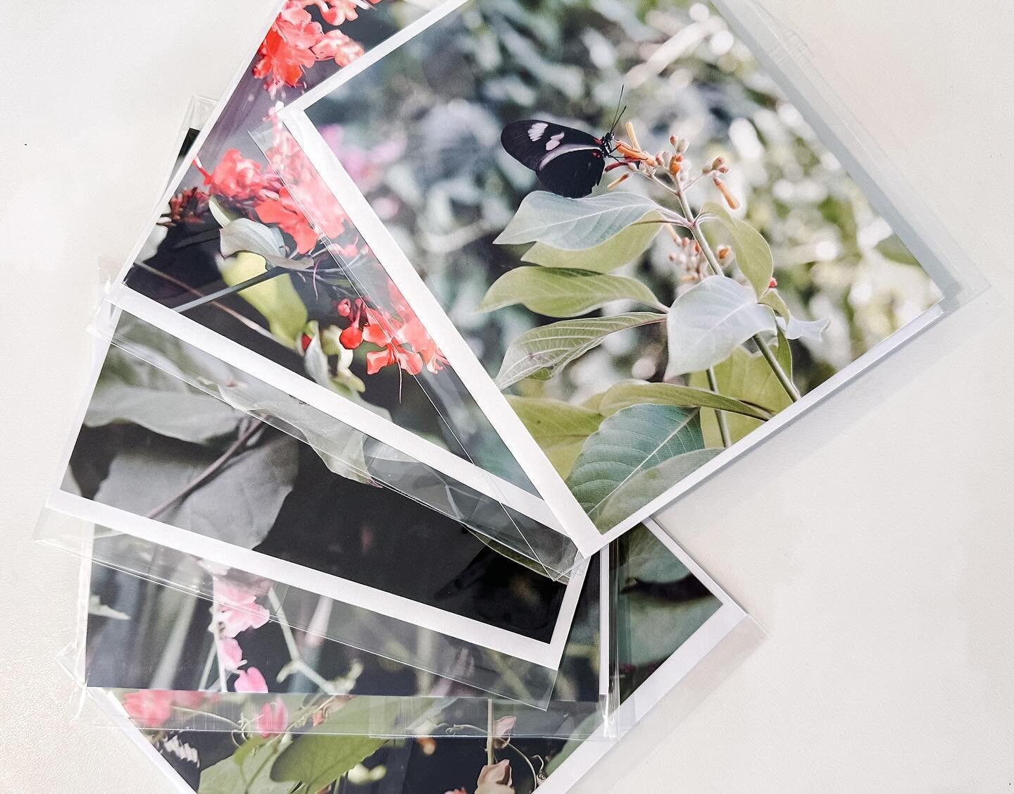 Available on my website! 🦋 Spring is just around the corner and what better way to celebrate the start of a sunny season than with butterflies?! Some of you might remember these photos from a couple years back. I knew back then when I took them that