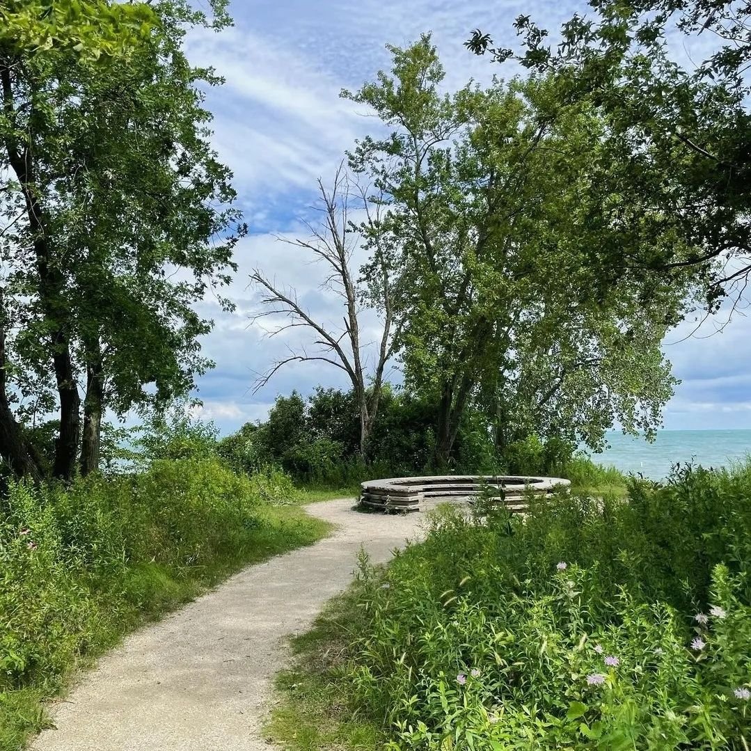 ‼️RESCHEDULED 

🌳 Join @southshorenaturesanctuary for a volunteer stewardship day. Help pull invasive species and  tending to this nourishing space.&nbsp; 

🎶 Afterwards, wind down as we ground with some sound at the council circle (12-1pm).

💌 Th