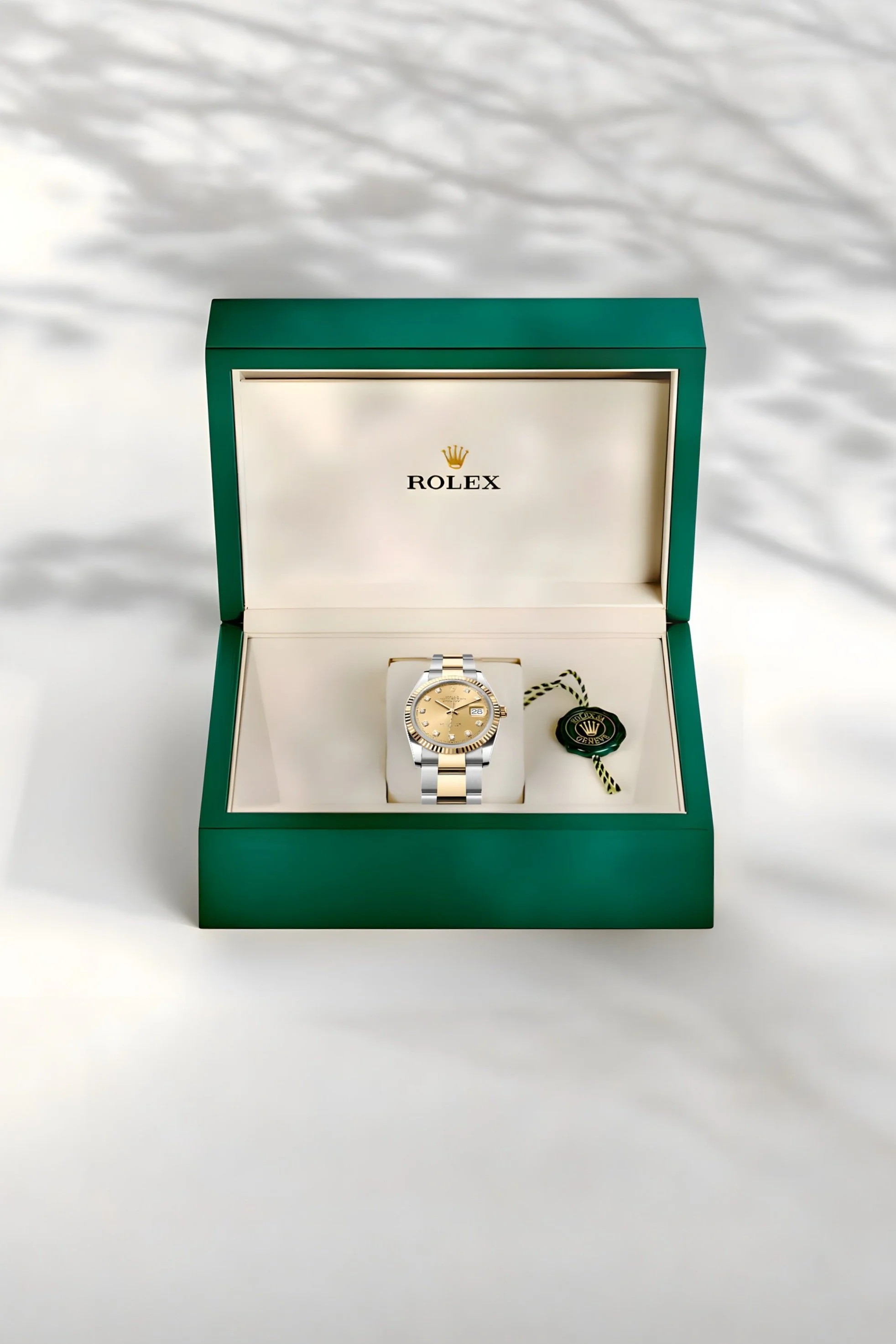 Untitled Project (9)_upscayl_2x_upscayl-standard-4x.jpg