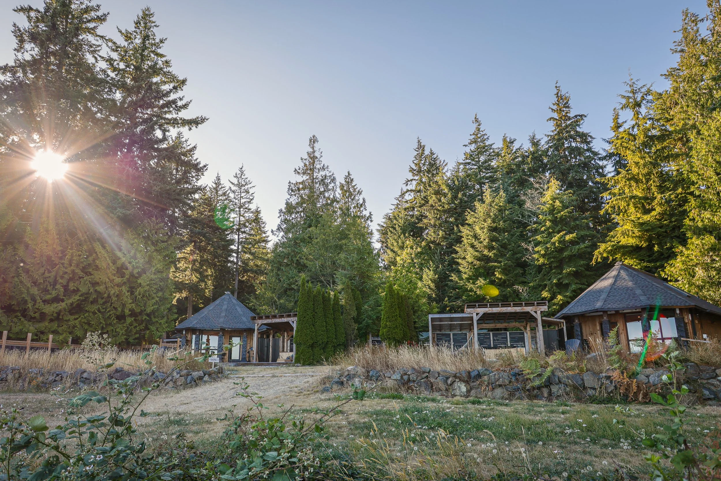 Sunshine shining through tall pine trees onto a garden with small wooden structures and a stone wall.