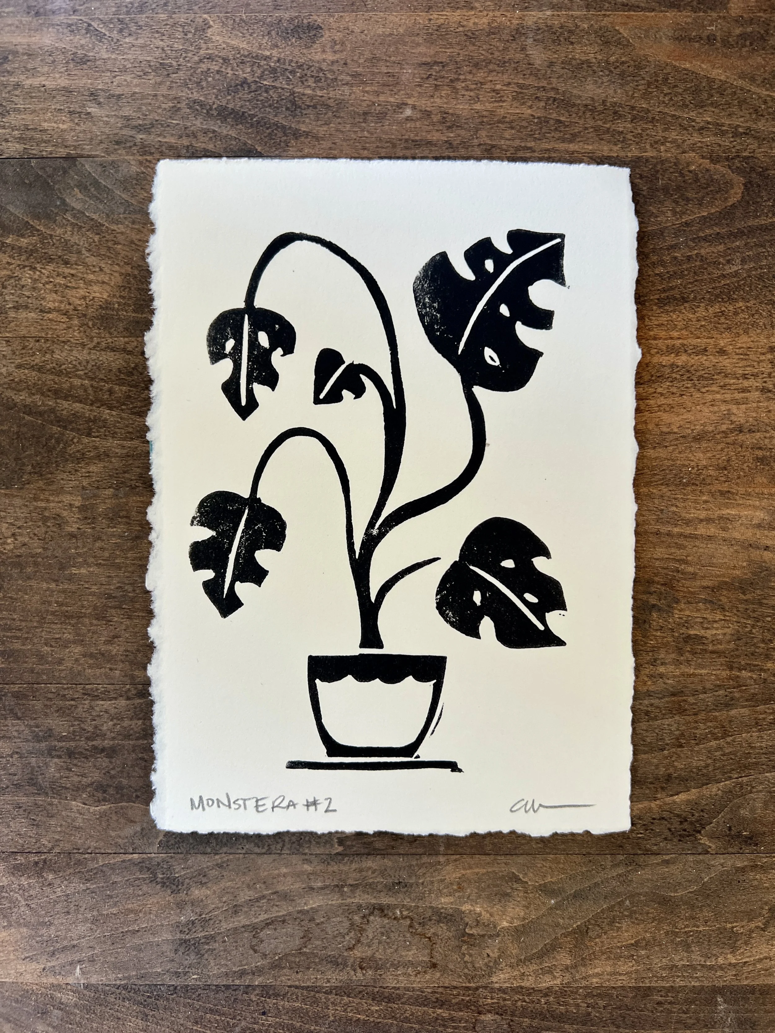 Monstera 2-1.jpg