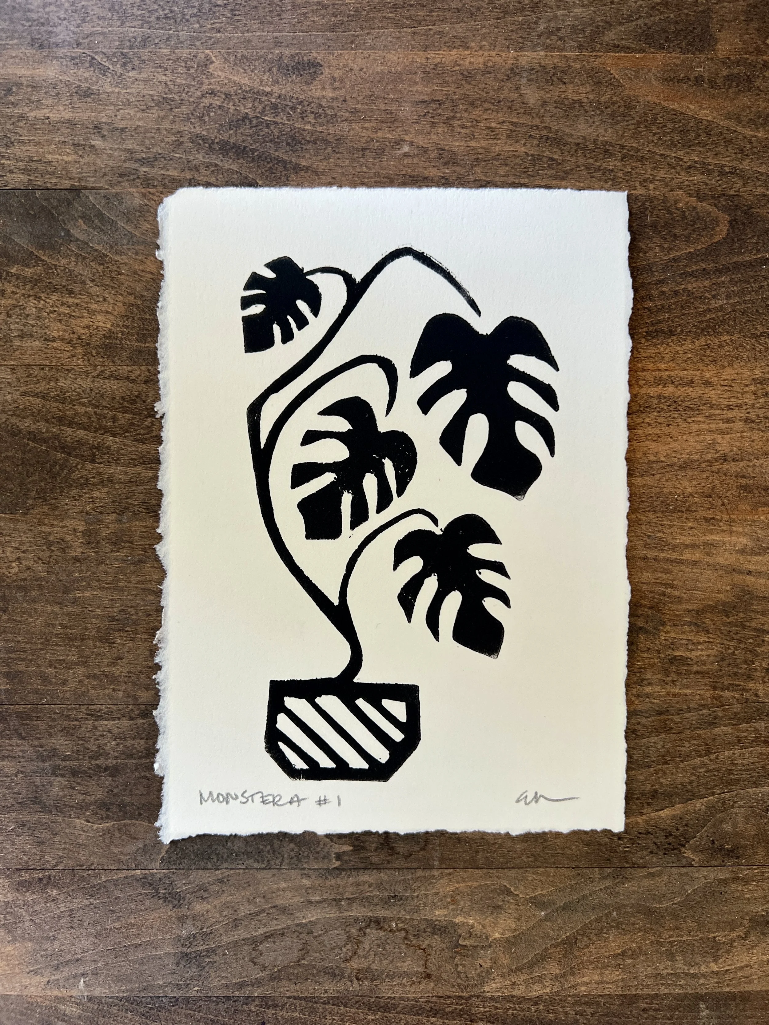 Potted Monstera-1.jpg