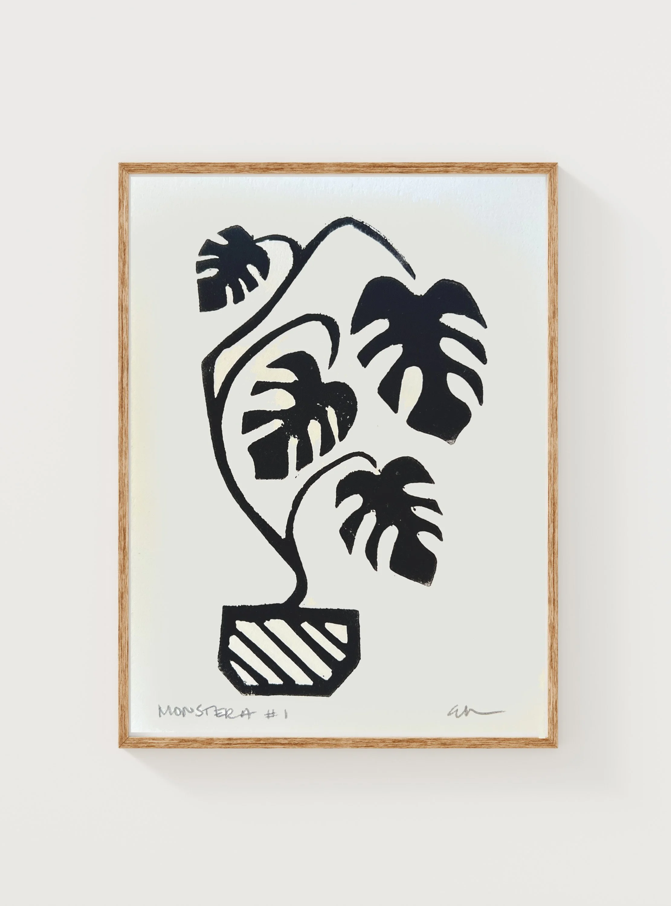 Potted Monstera 1-3.jpg