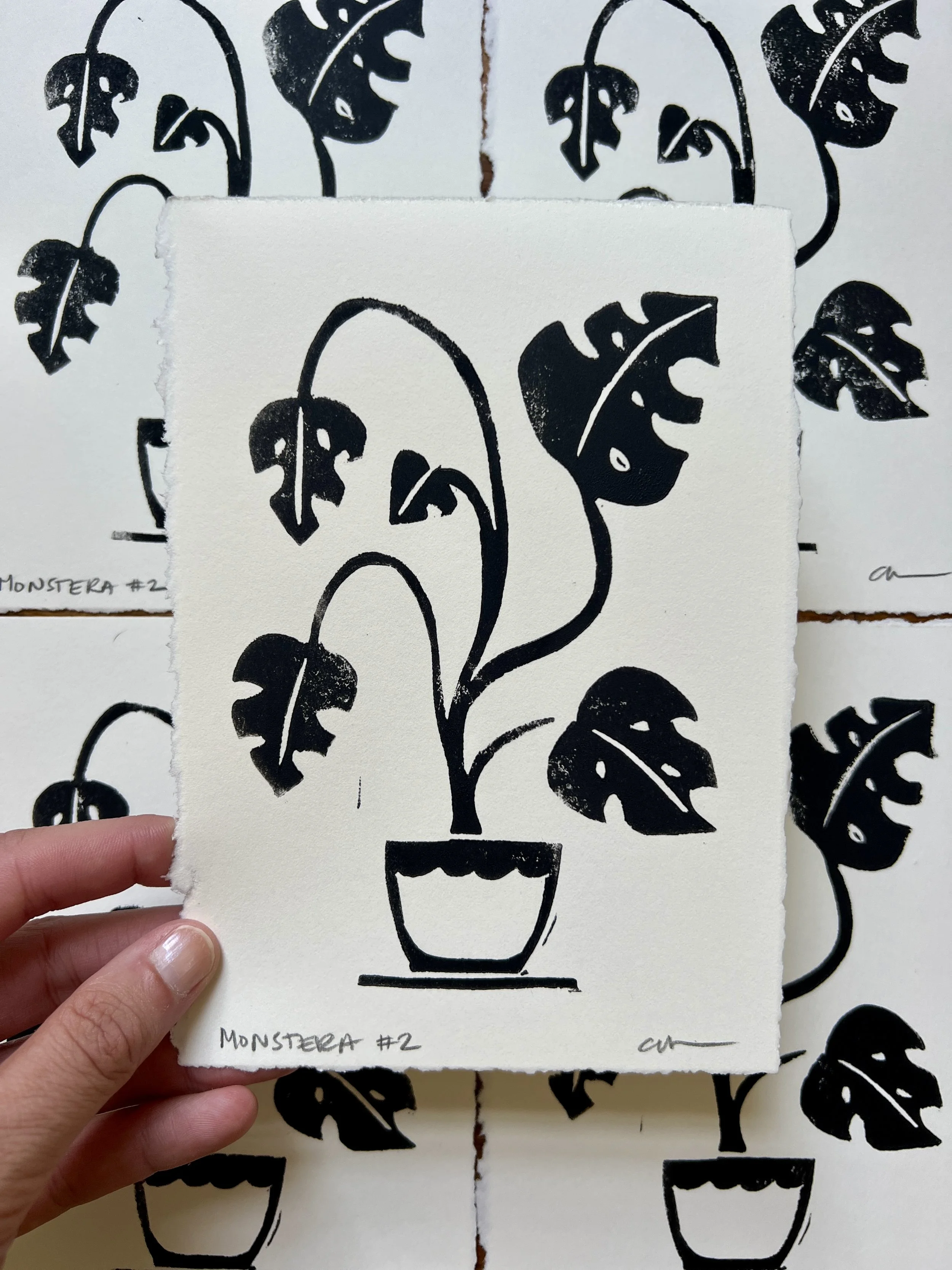 Monstera 2-2.jpg