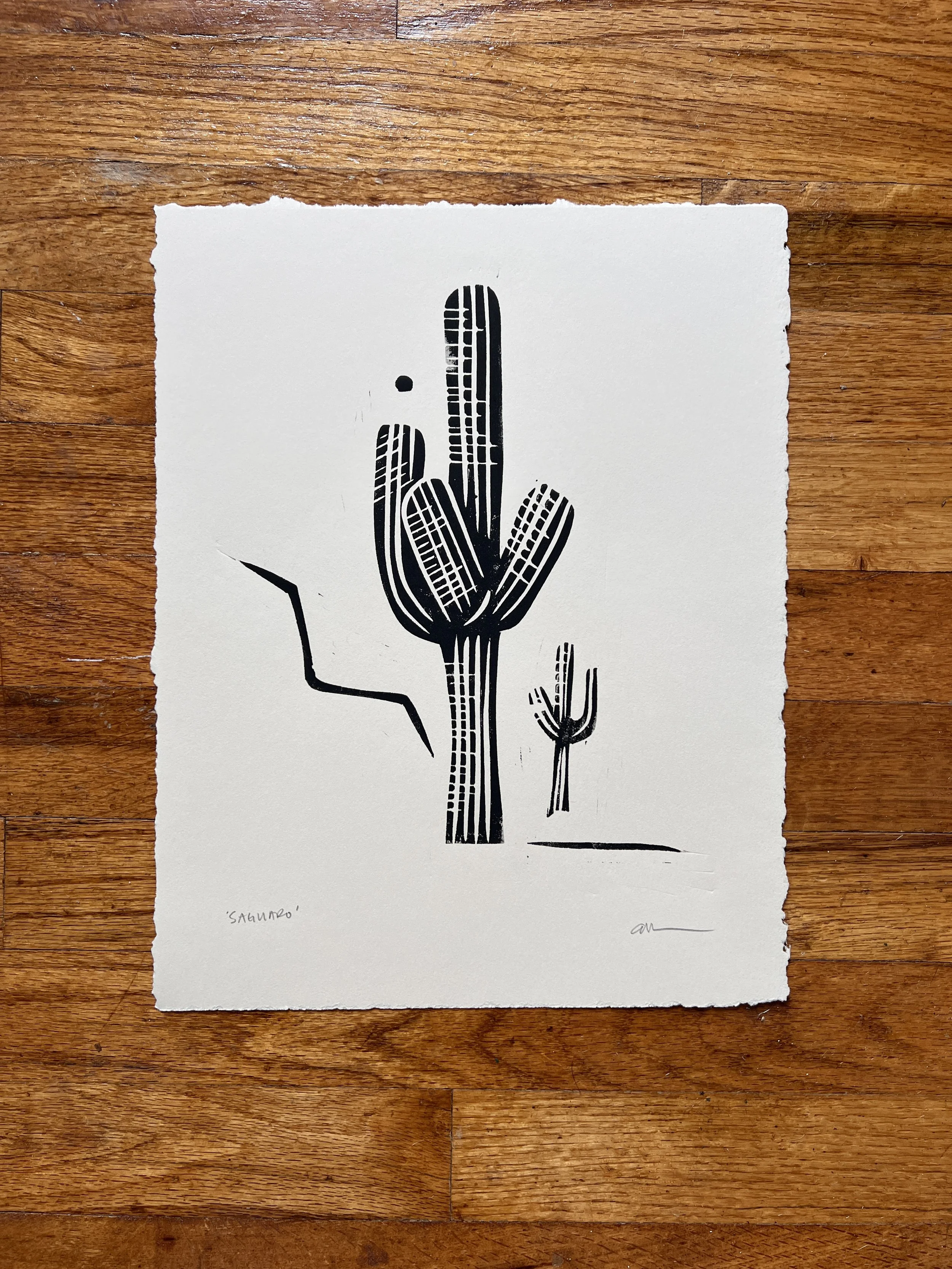 Ellen Orchard_Saguaro1.JPG