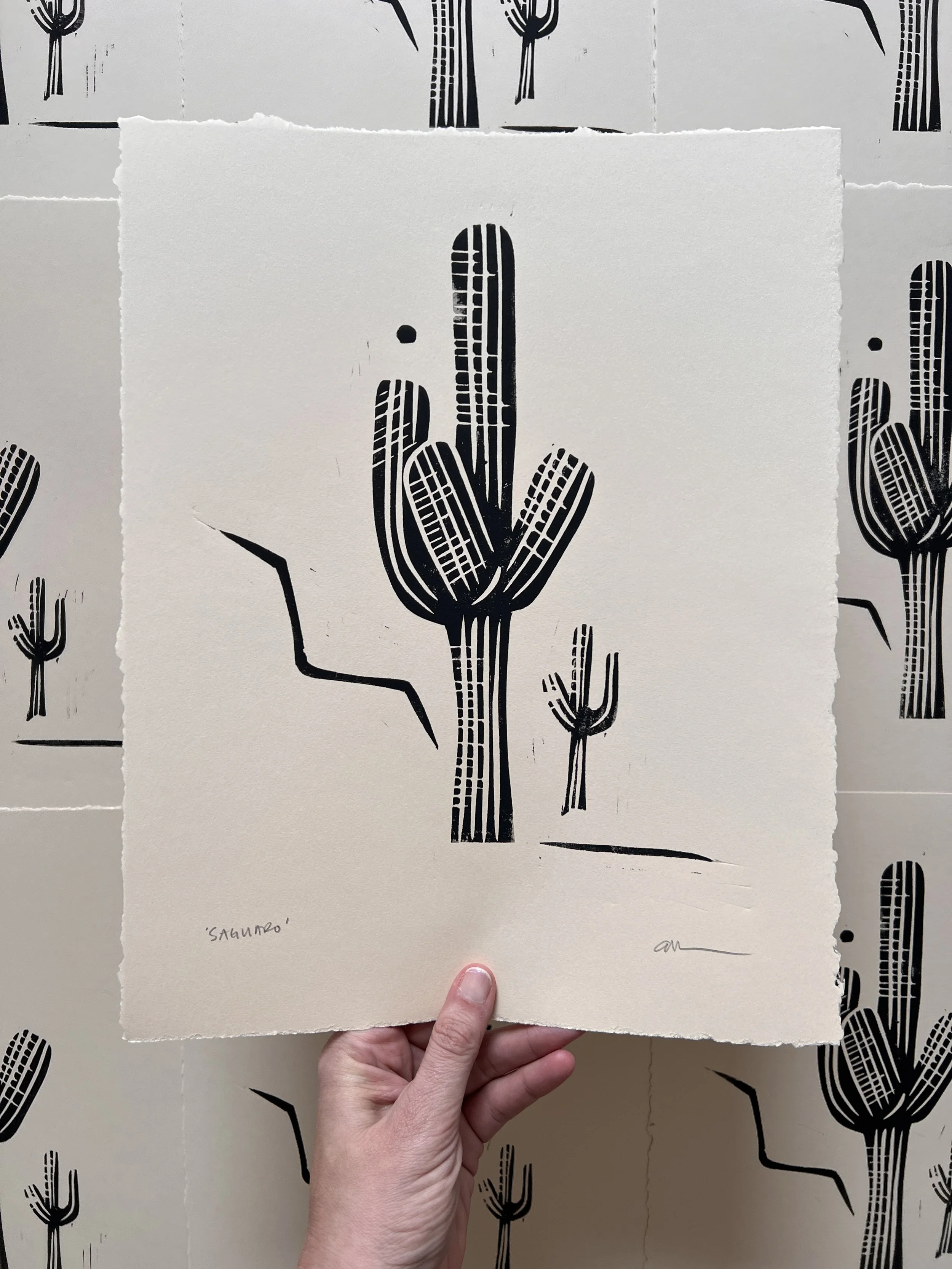 Ellen Orchard_Saguaro2.JPG