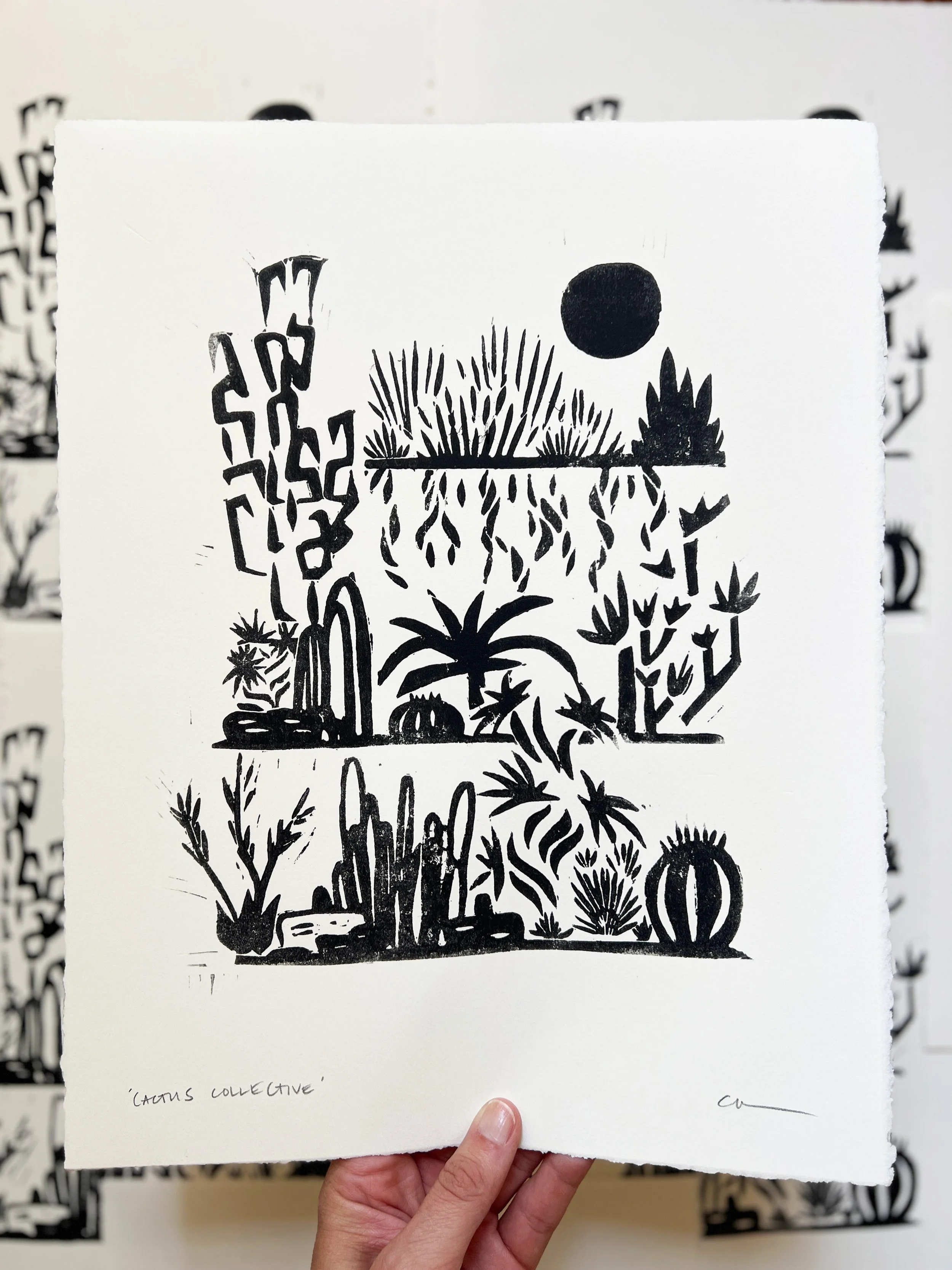 Cactus Collective-1.jpg