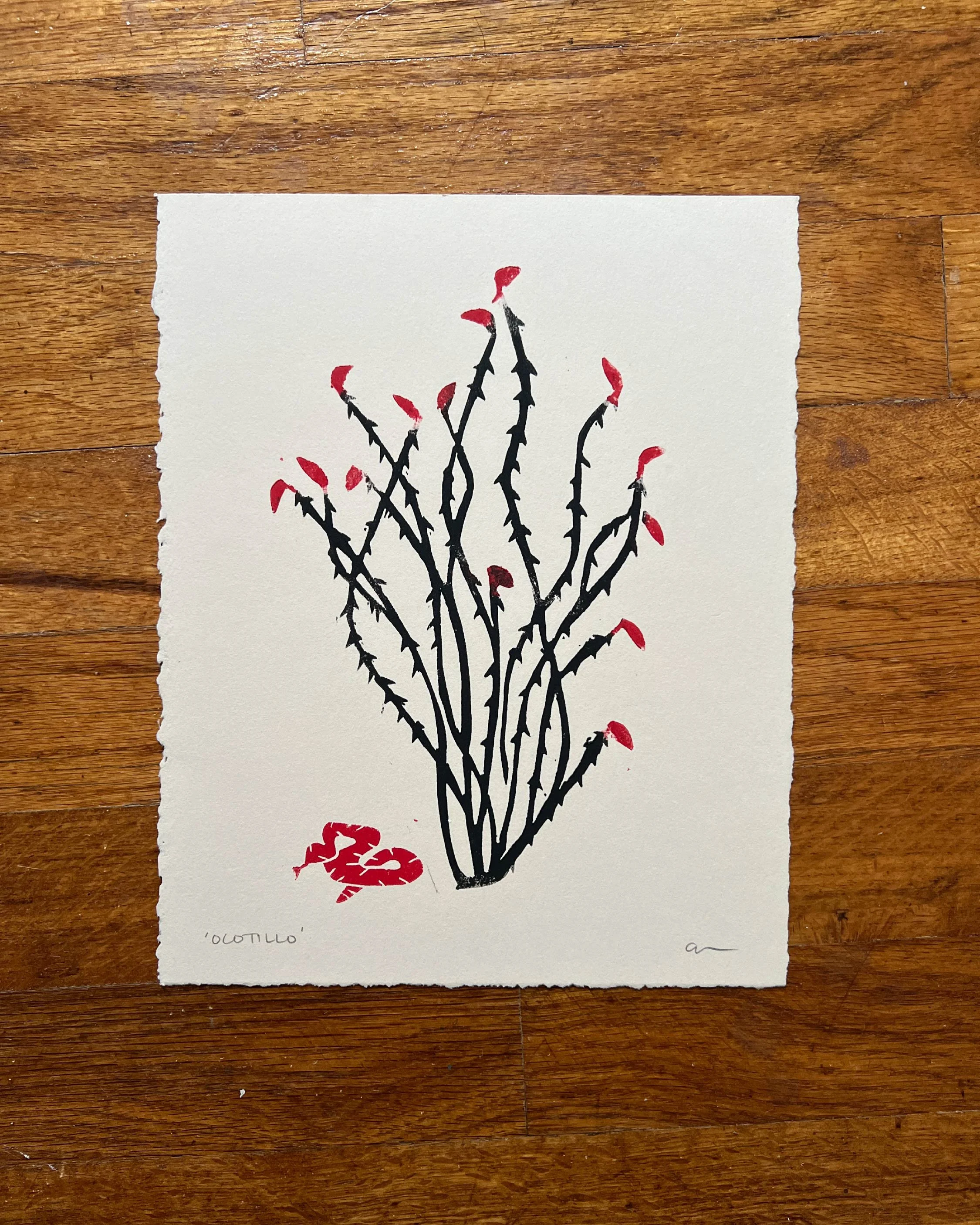 Ocotillo_Single.jpg