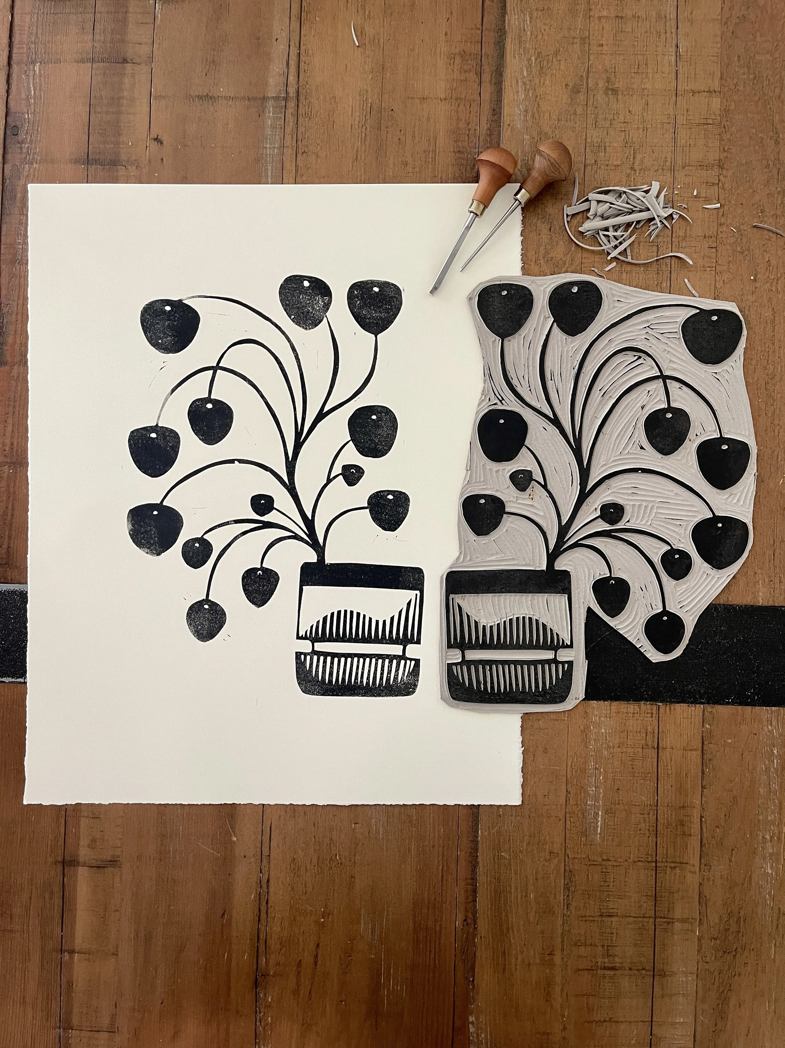 Ellen Orchard-Chinese Money Plant-2.jpg