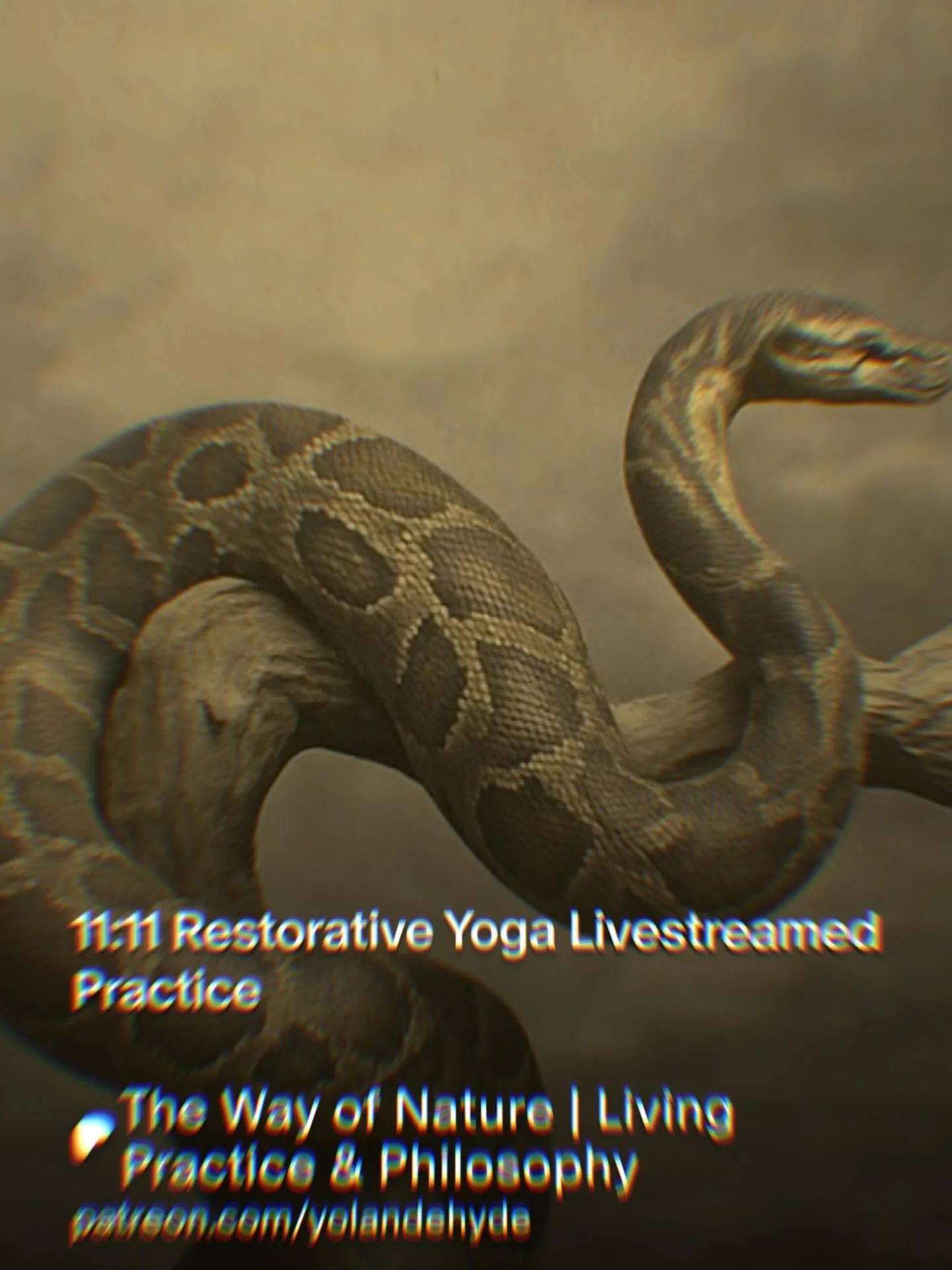 Join us in the live streamed 11:11 restorative yoga practice this very eve &hellip; 

6-7:15 pm syd time 

Link in the biosphere 🫶👆🏼

#1111 #spirituality #ascension #lightbody #restorativeyoga