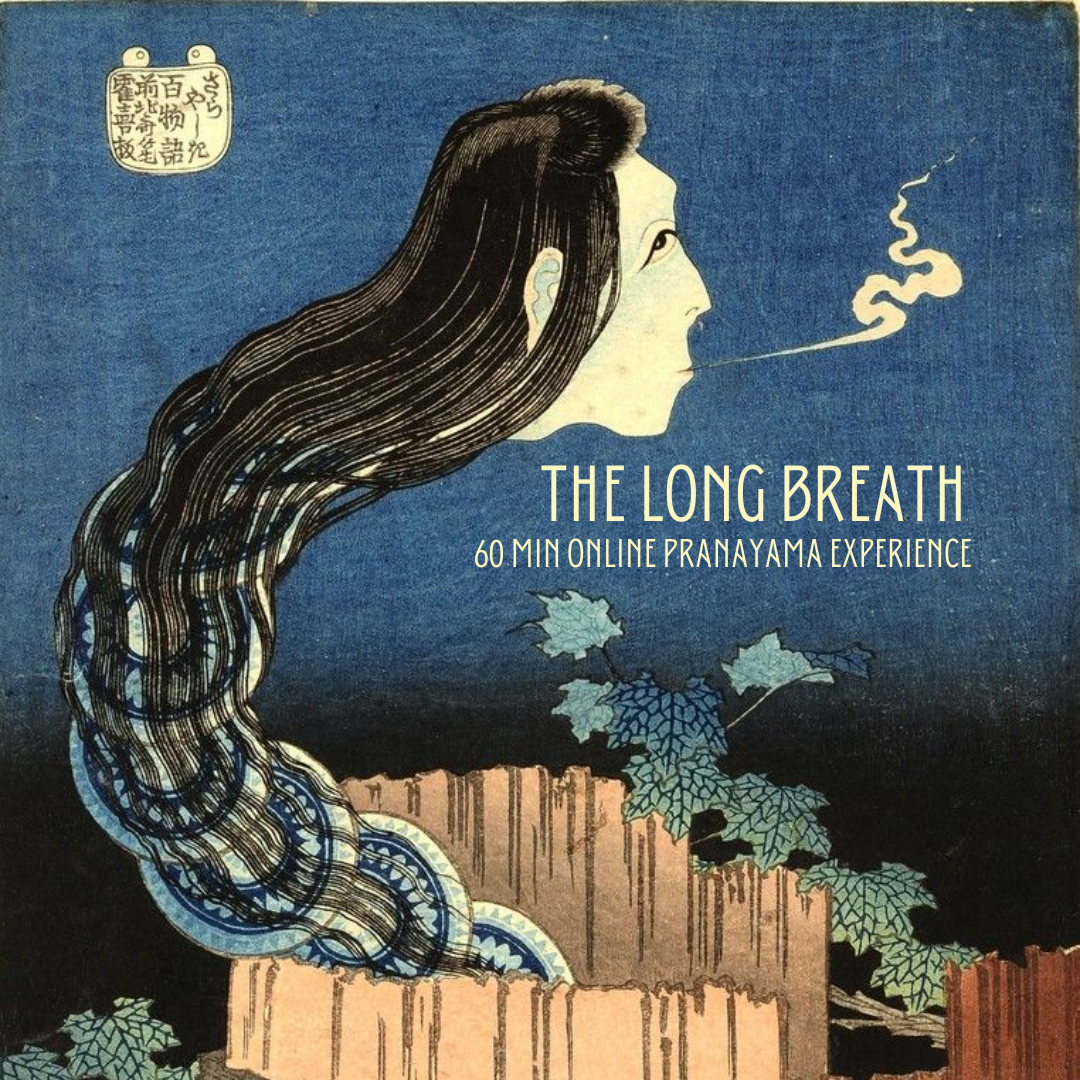 The Long Breath guided spring pranayama and meditation practice exploring breathwork, the Five Elements and the Wood Element.