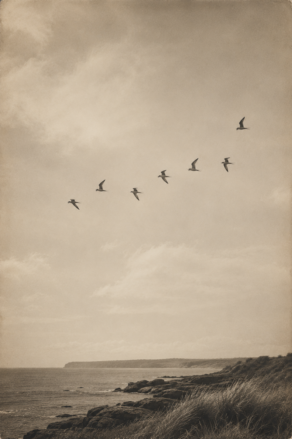 Small flock of migratory birds crossing a pale coastal sky above the sea.