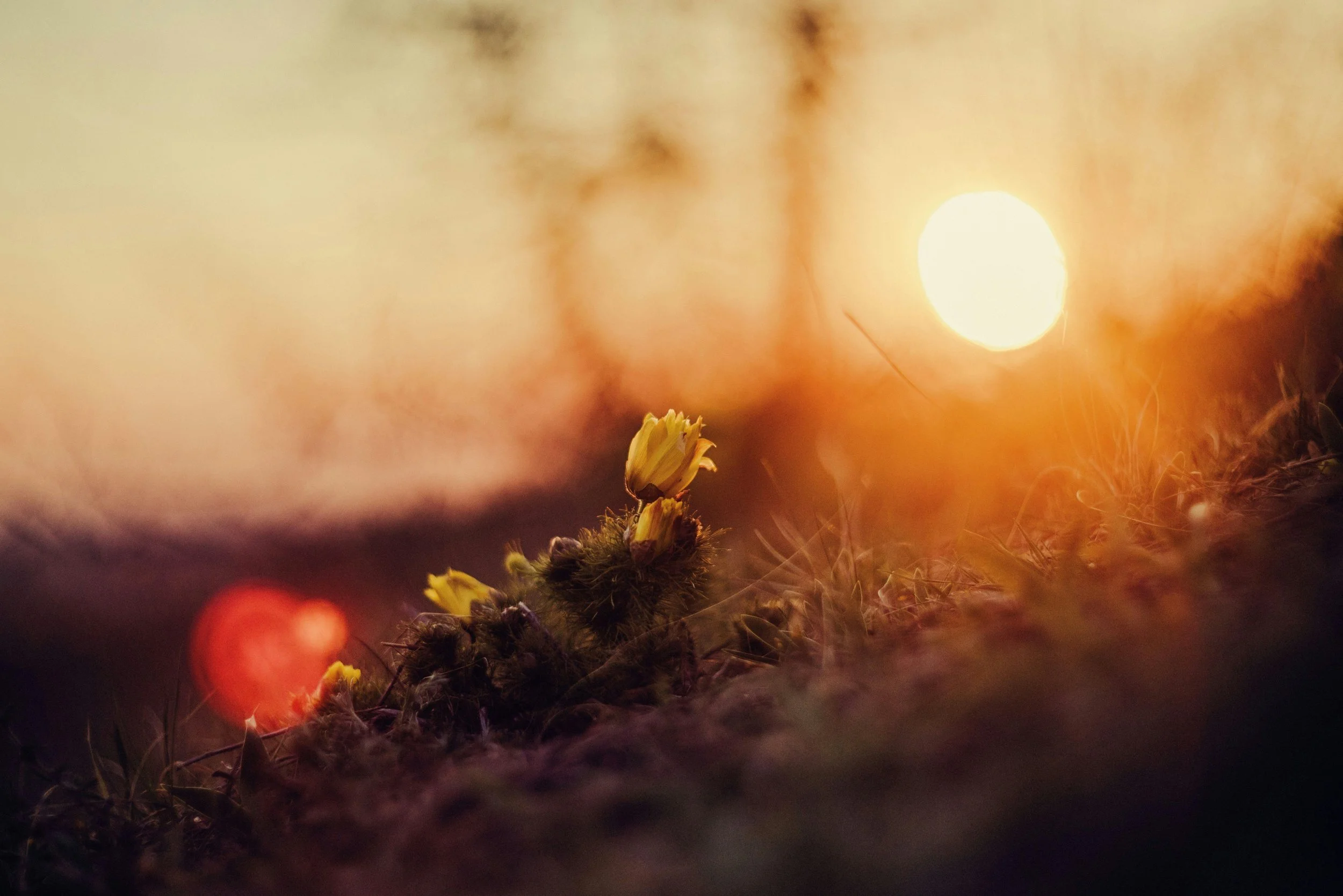 The Deeper Magic—Part II