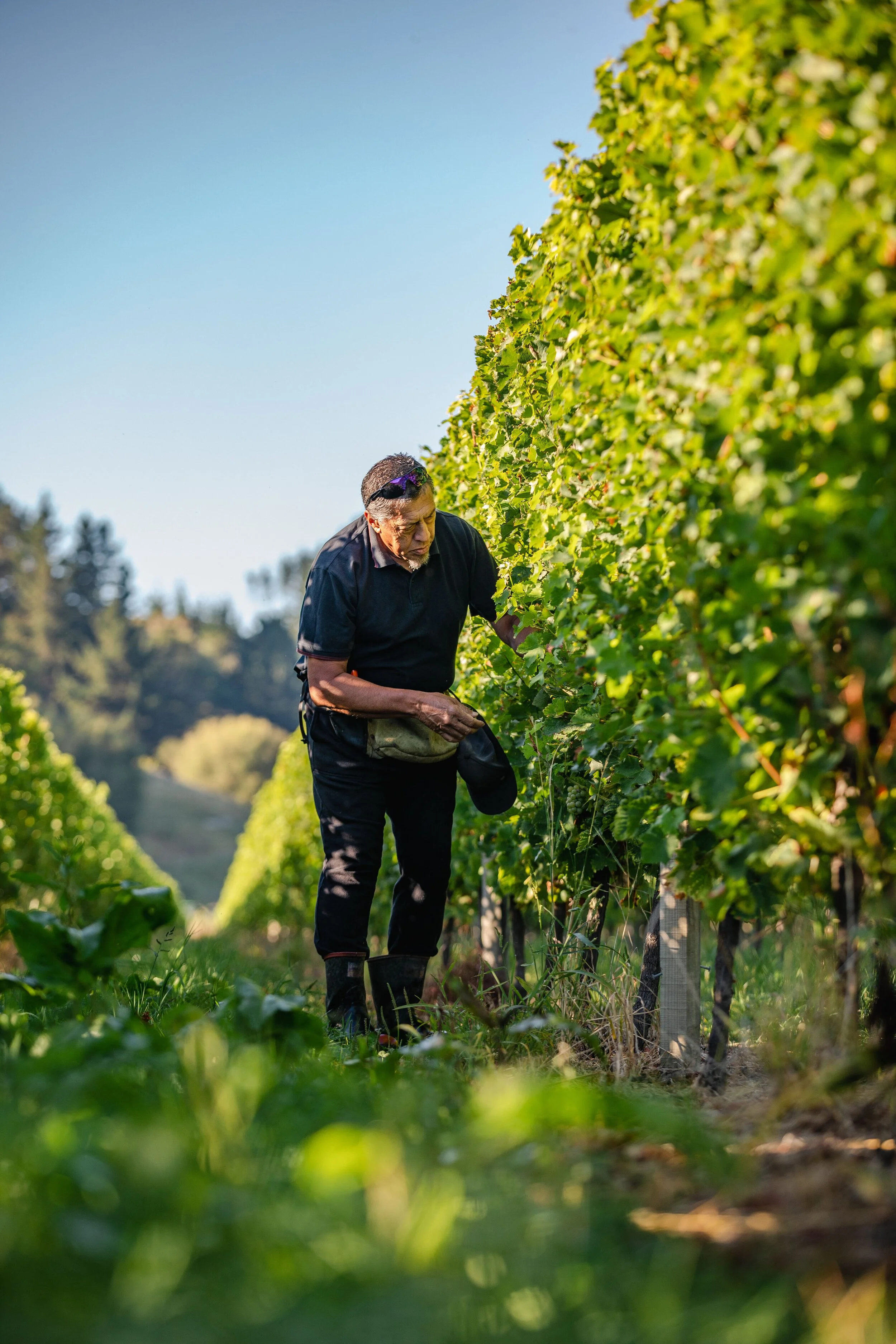 Job_6466_Lake Road Wines99.jpeg