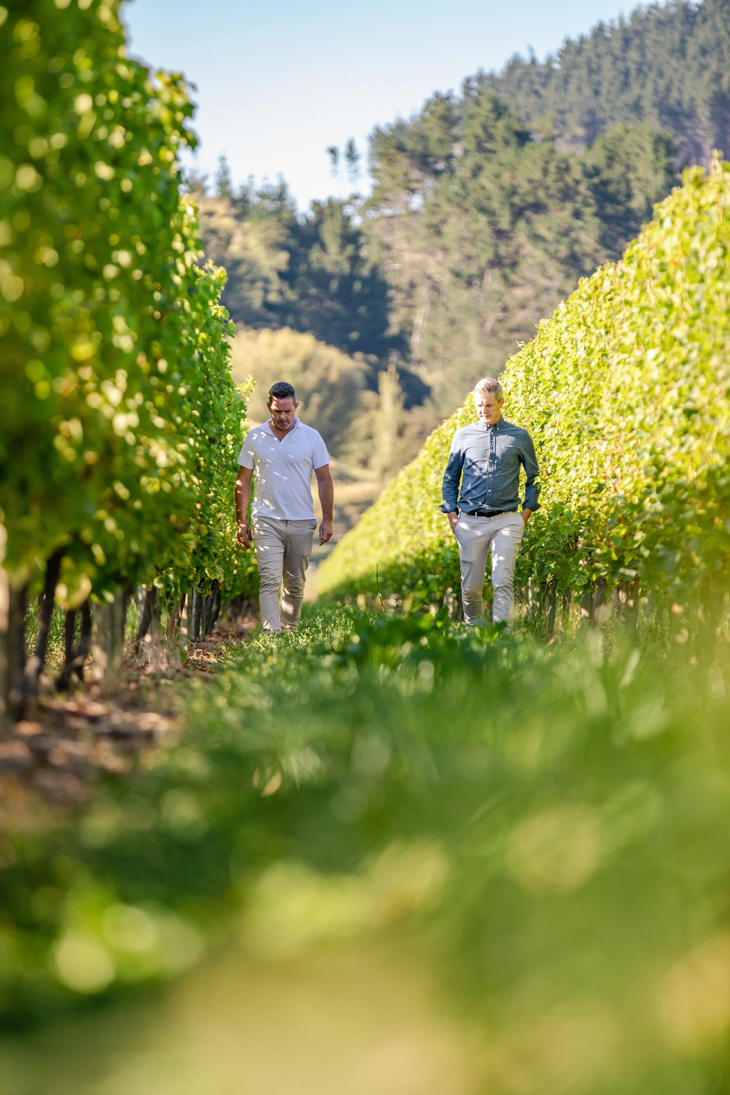 Job_6466_Lake Road Wines135.jpeg