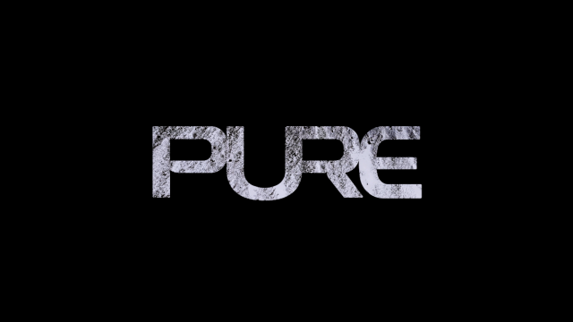 Pure Logo window BLACK 3.png