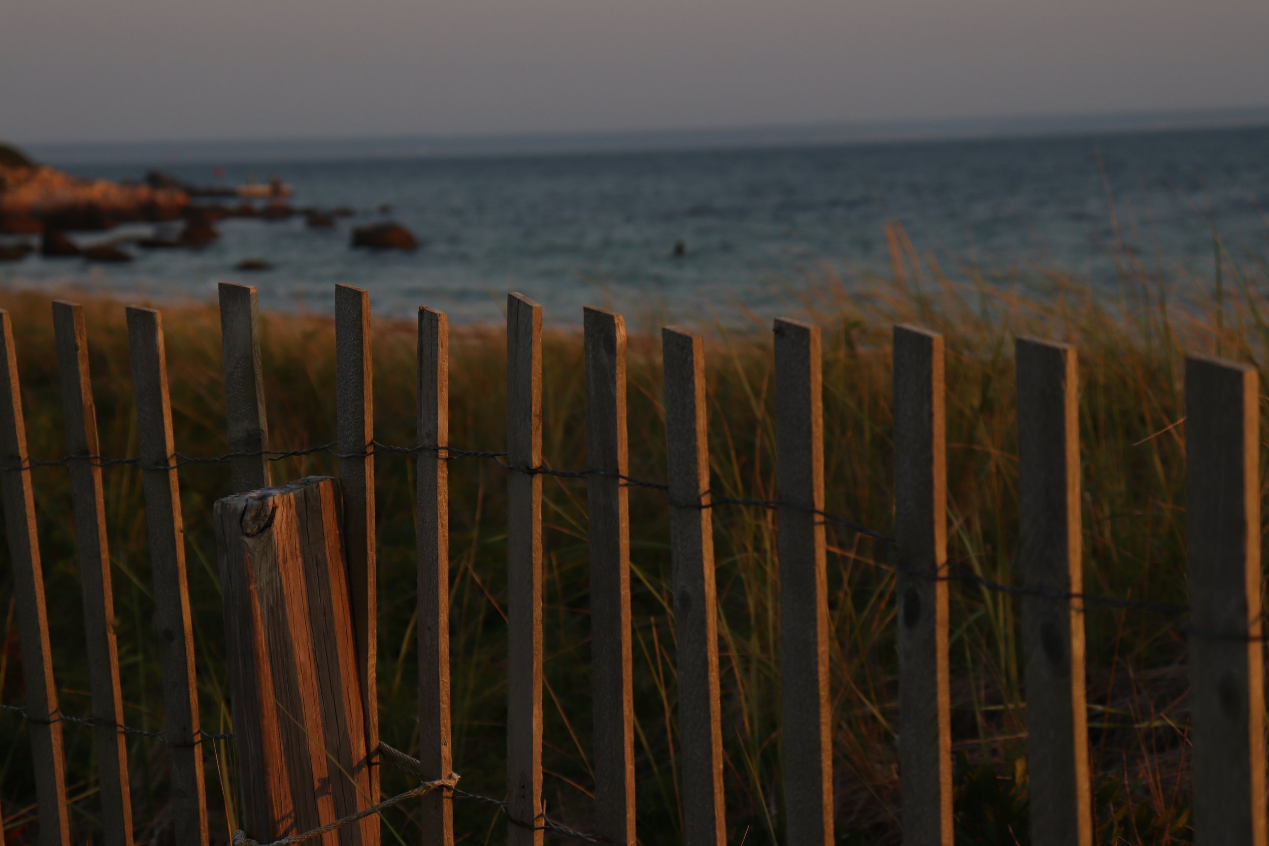 Fenceline along a Falmouth, MA beach