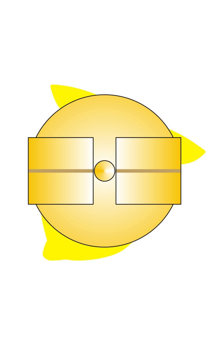 Lemon-SizeChart-Back.jpg