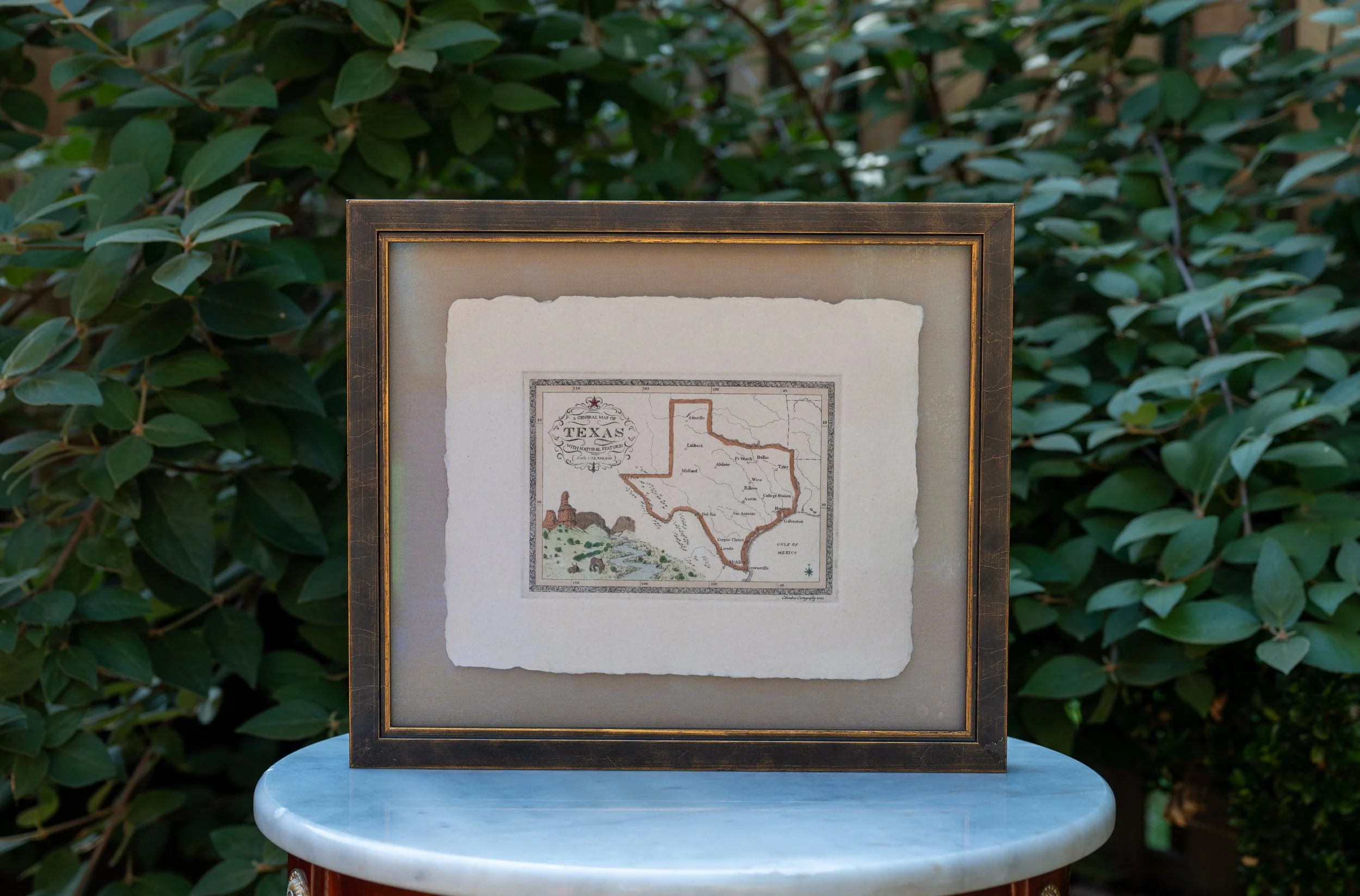 Texas Mini Map