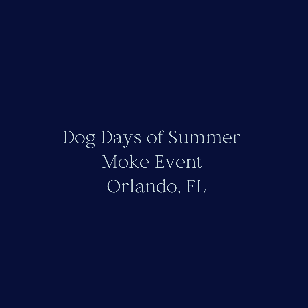 ChalkShop Studio.png