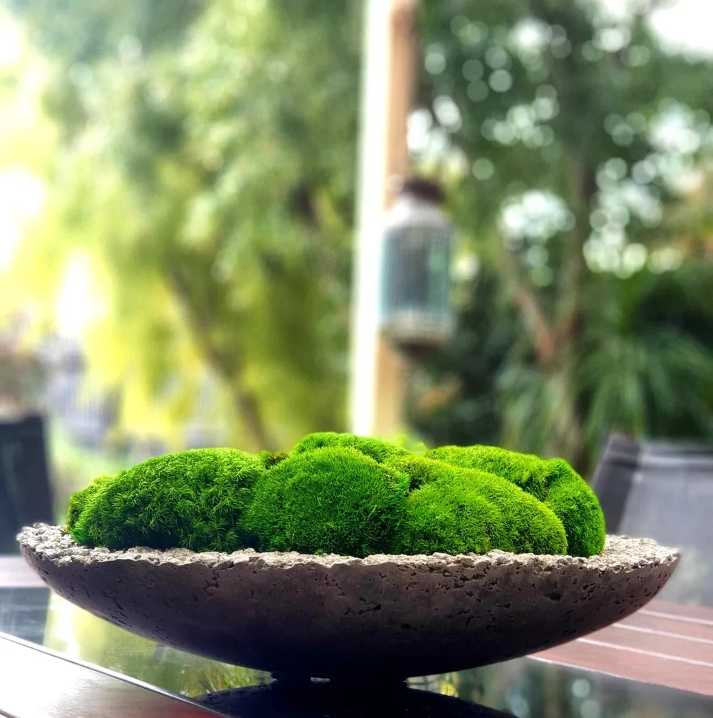 Custom orders — Melbourne Moss Bowls