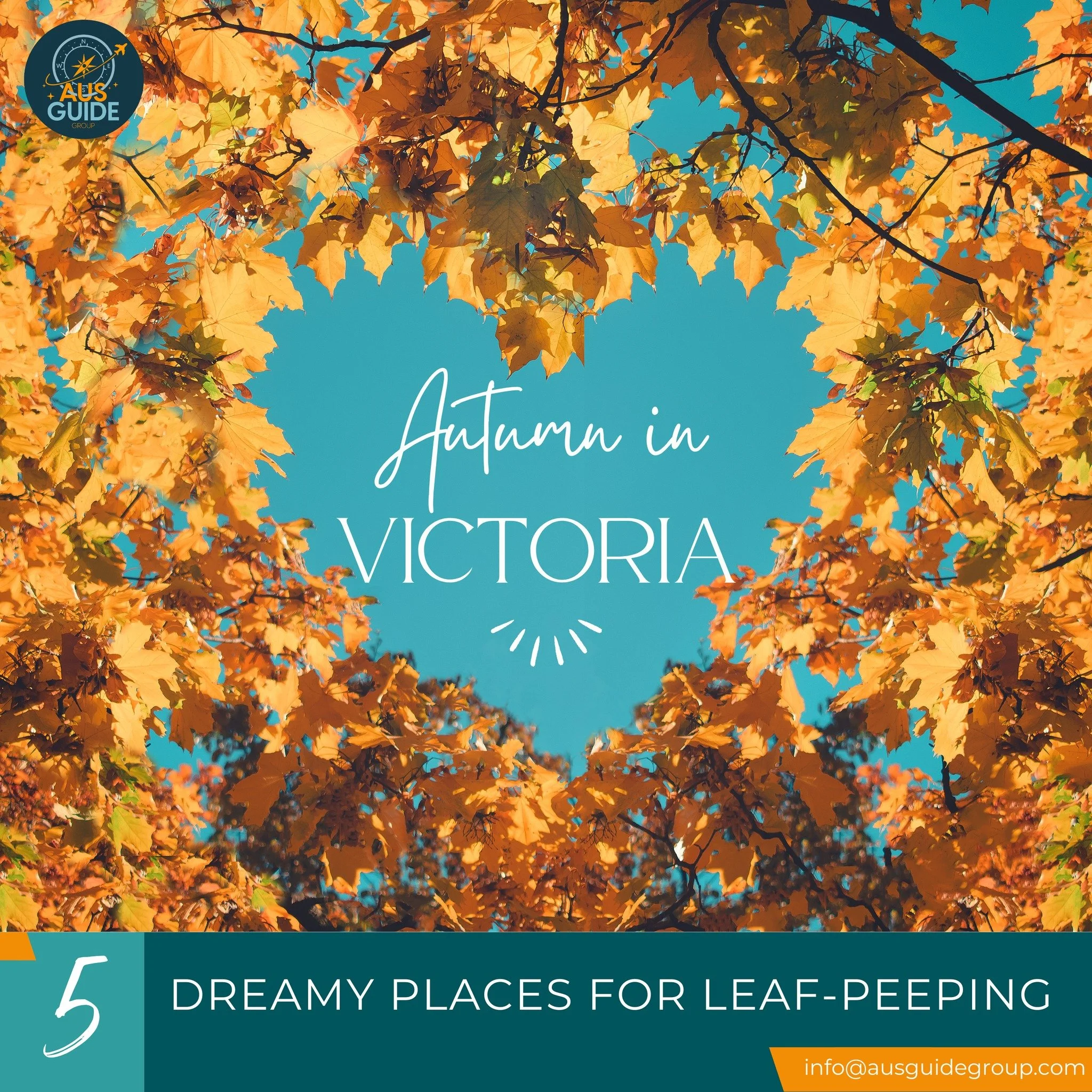 AUTUMN IN VICTORIA: 5 DREAMY PLACES FOR LEAF-PEEPING 