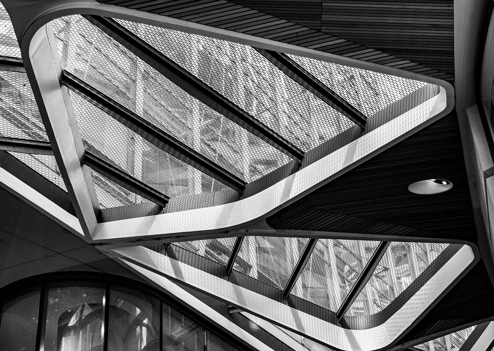 LINES AND CURVES - ANNE BAKER - DIGITAL