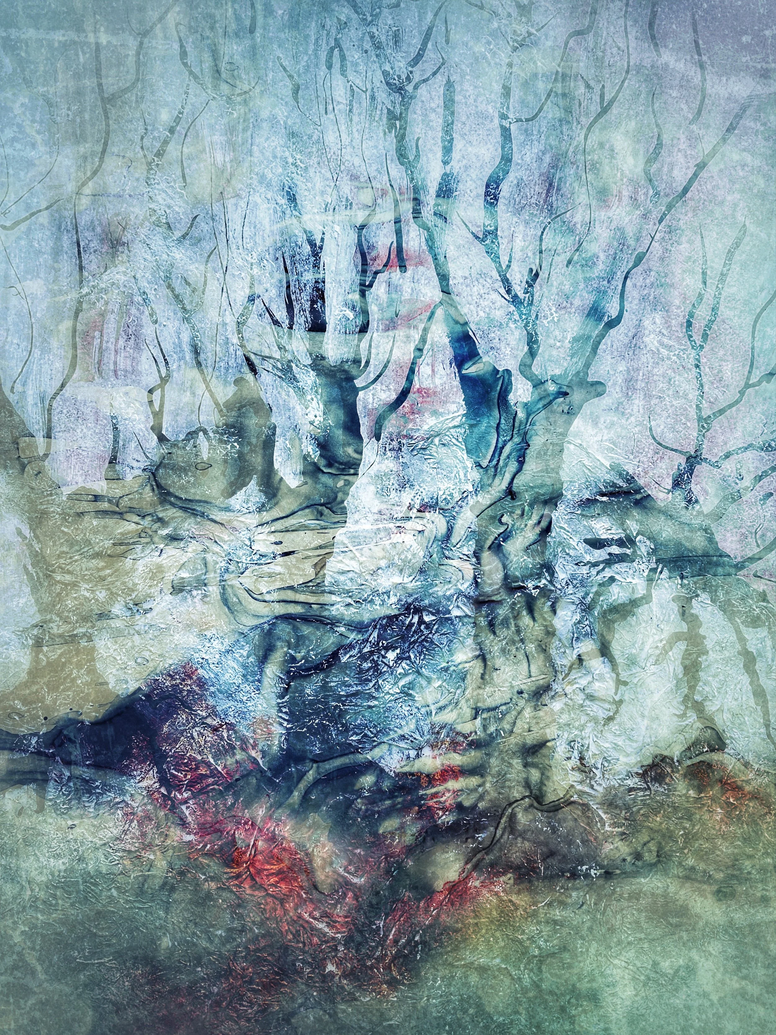 SHADOWS - JUDY THISTLETON MARTIN - 3RD PLACE COLOUR PRINT