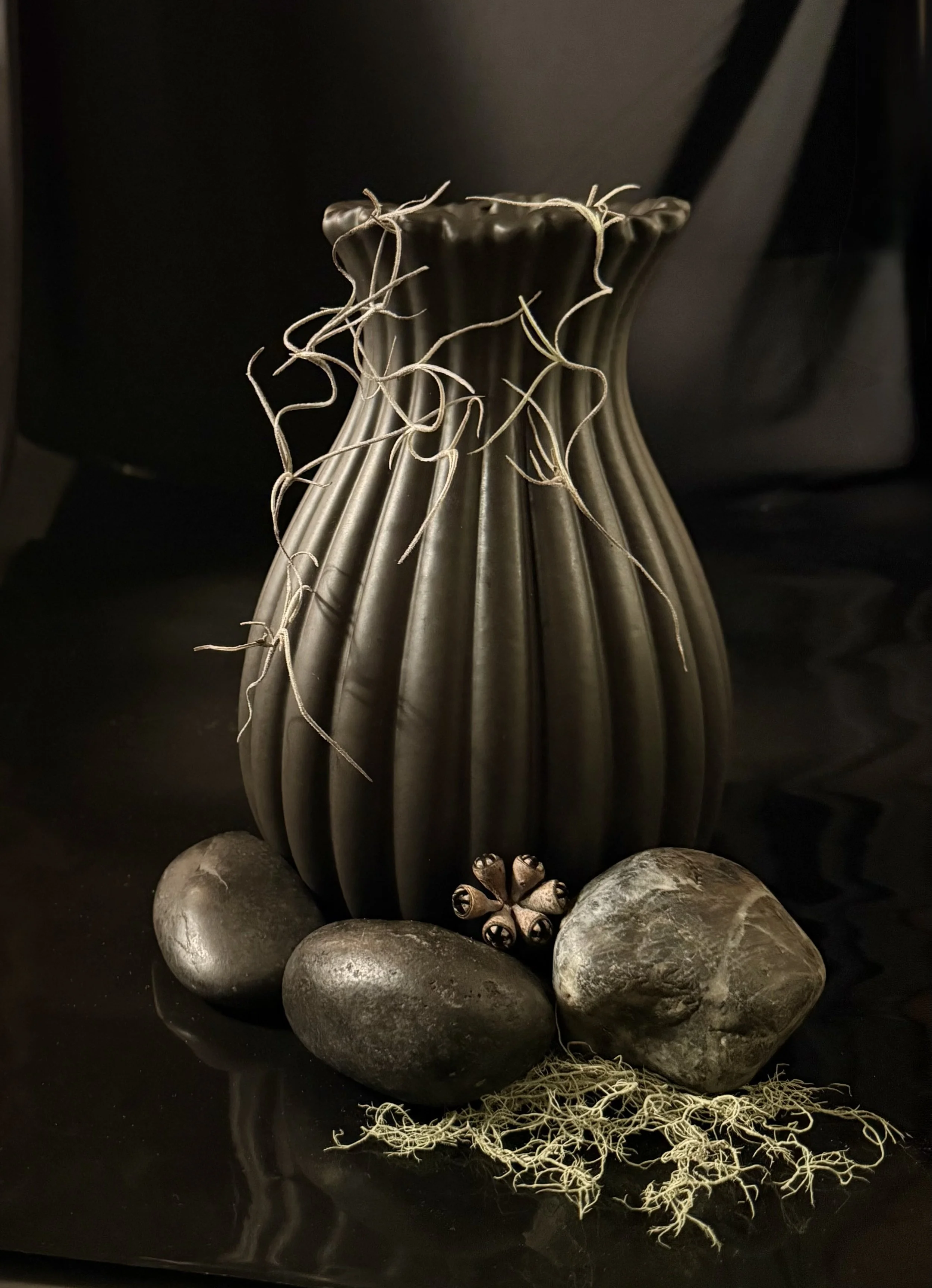 EARTH SERIES #1613 -  DEIRDRE  MELLIS - POP 2025