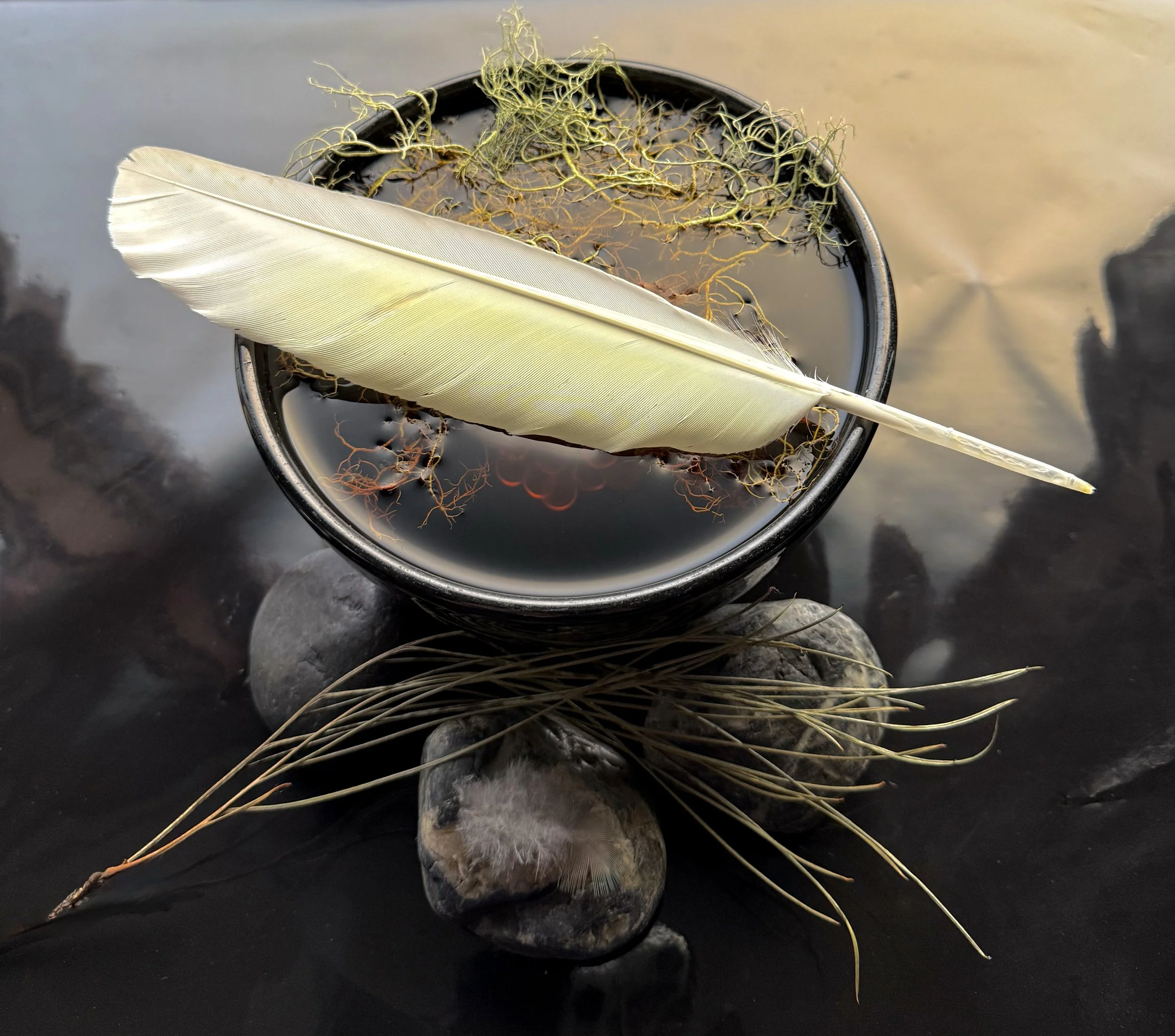 EARTH SERIES #1176 - DEIRDRE  MELLIS POP 2025