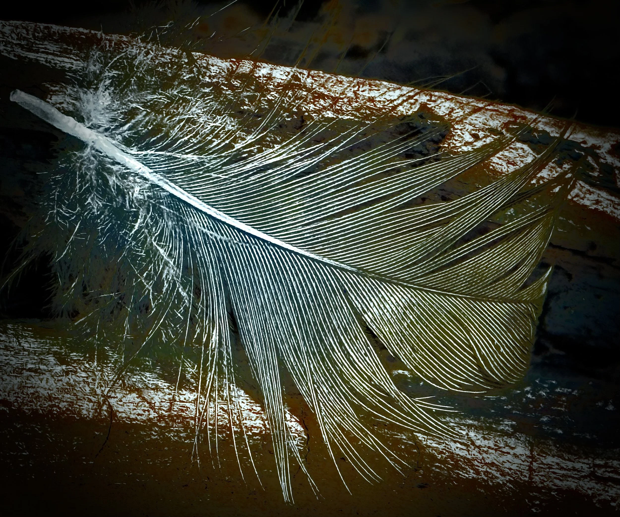 EARTH SERIES #10 FEATHER - DEIRDRE MELLIS POP 2025