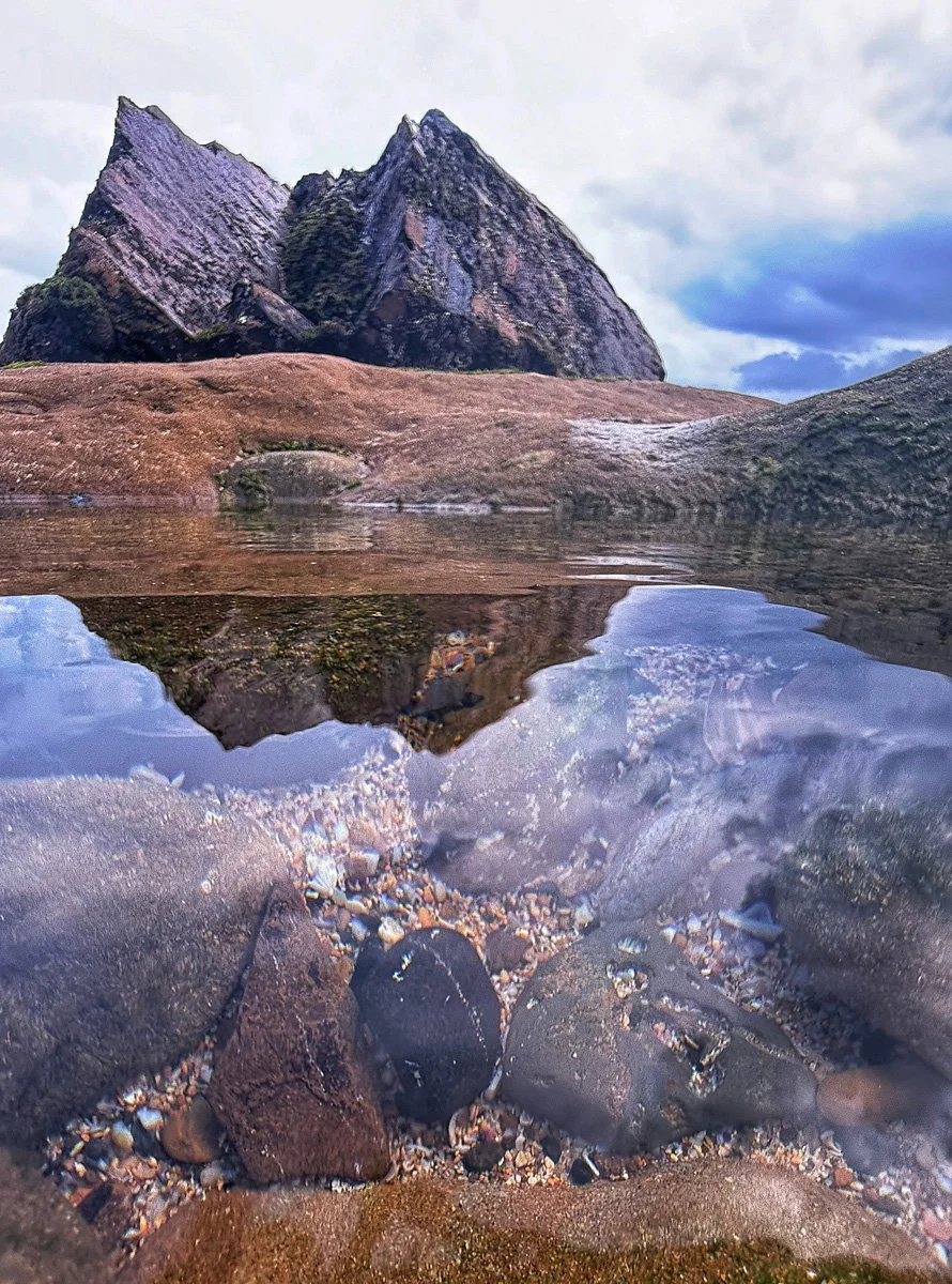 ROCKPOOL - ROBYN COOK - PRINT