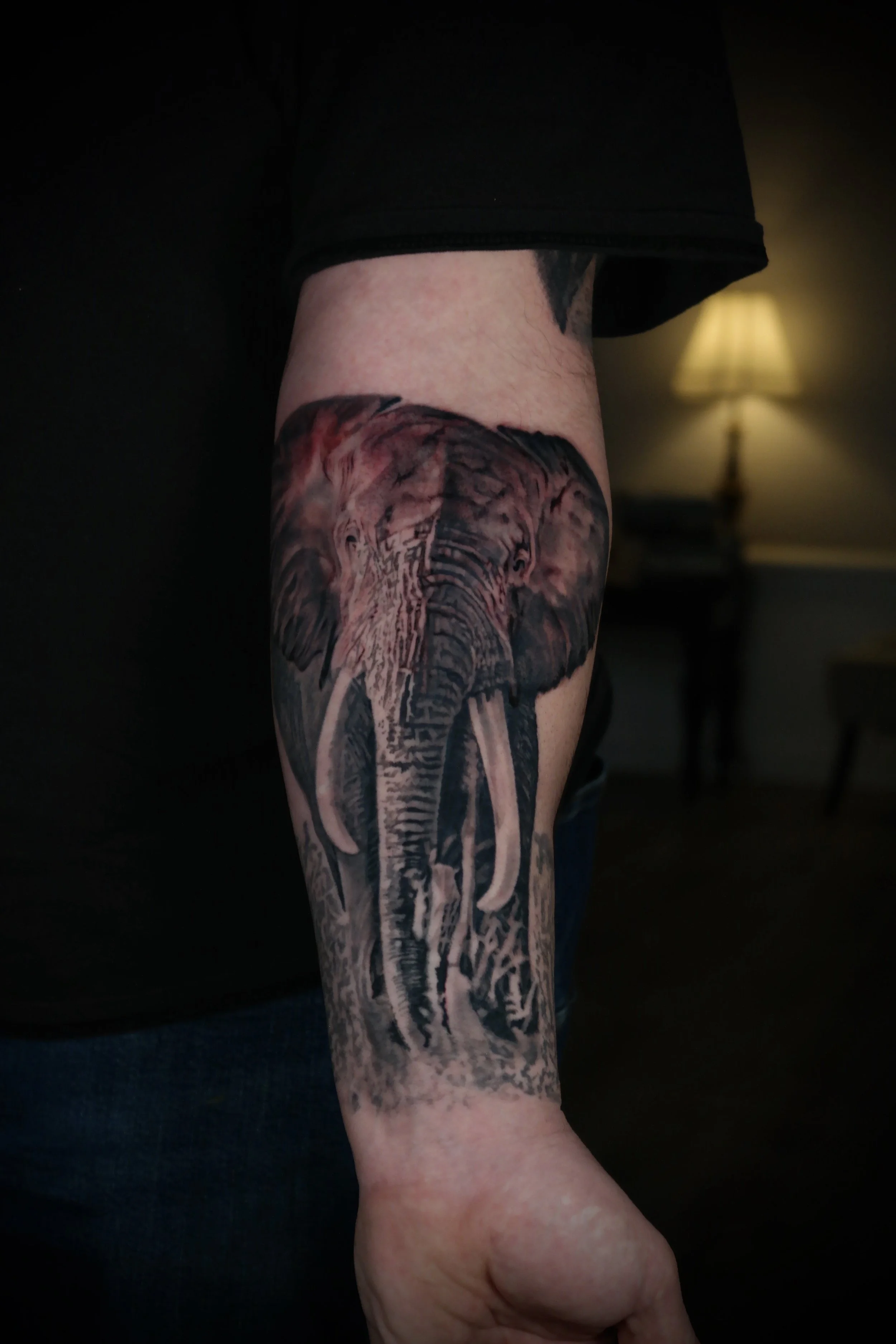 elephant-realism-tattoo-seattle-wa.jpeg