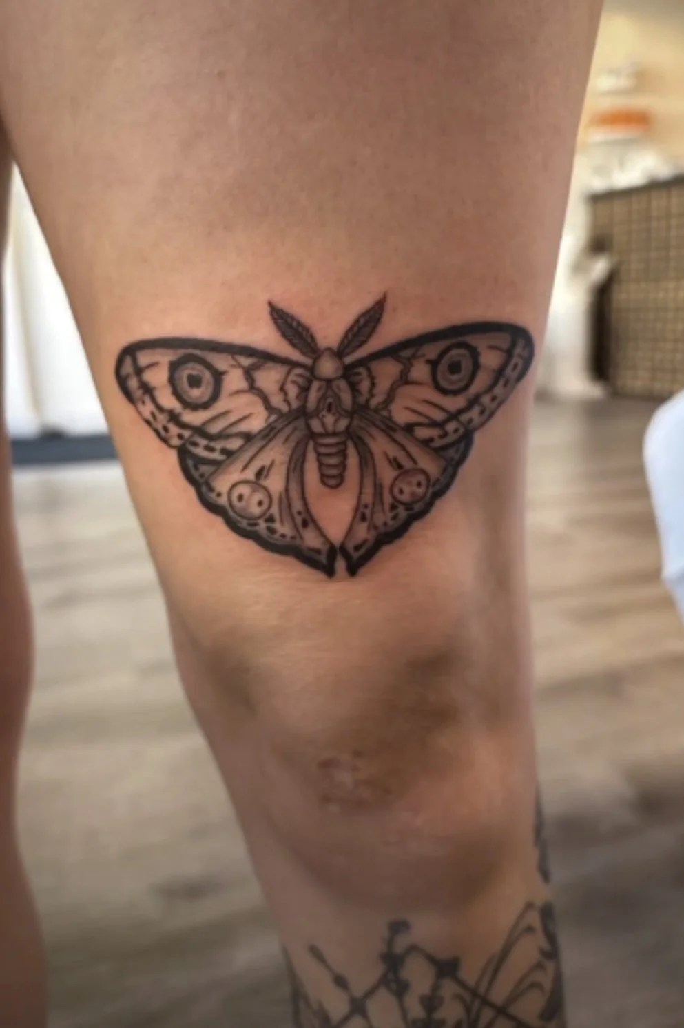 moth_tattoo_tacoma_seatac_walk_in.jpeg