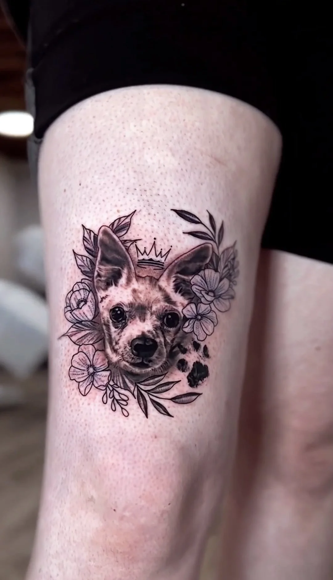 realism_tattoo_crown_chihuahua_puppy.jpeg