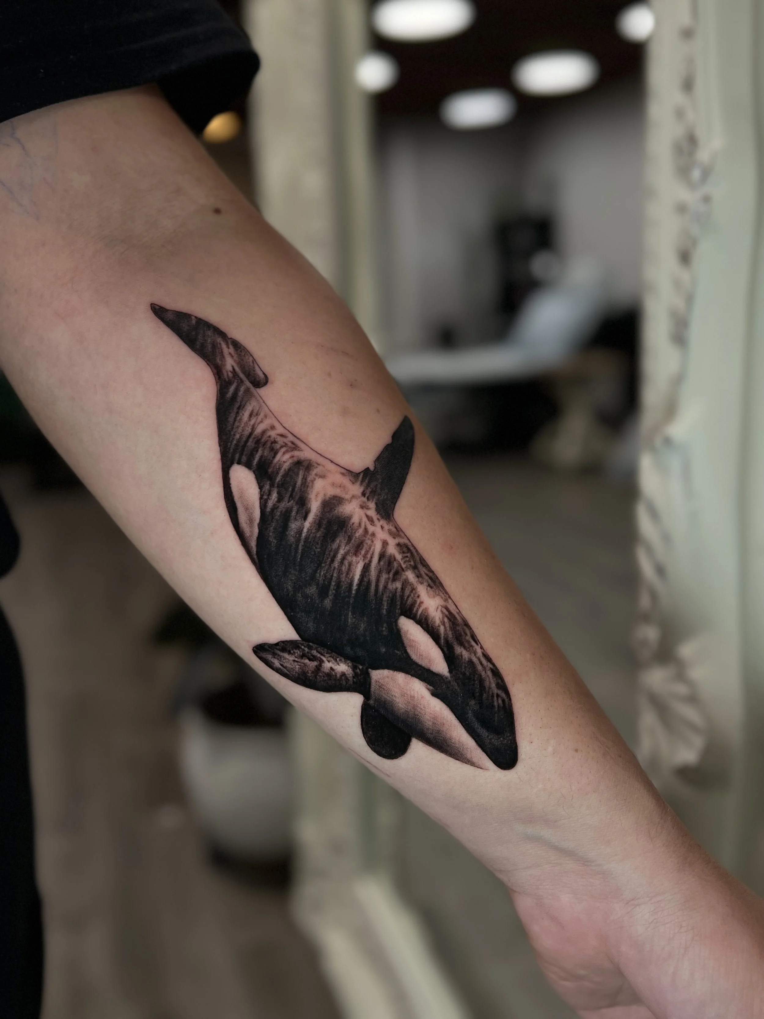 Close-up of a person's arm with a tattoo of a orca. The arm is held out with a blurred background showing some architectural details.