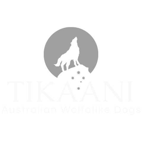 Wolfalike Dogs Australia
