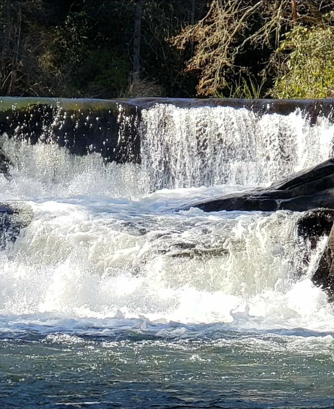 tempFileForShare_20230710-151449.jpg