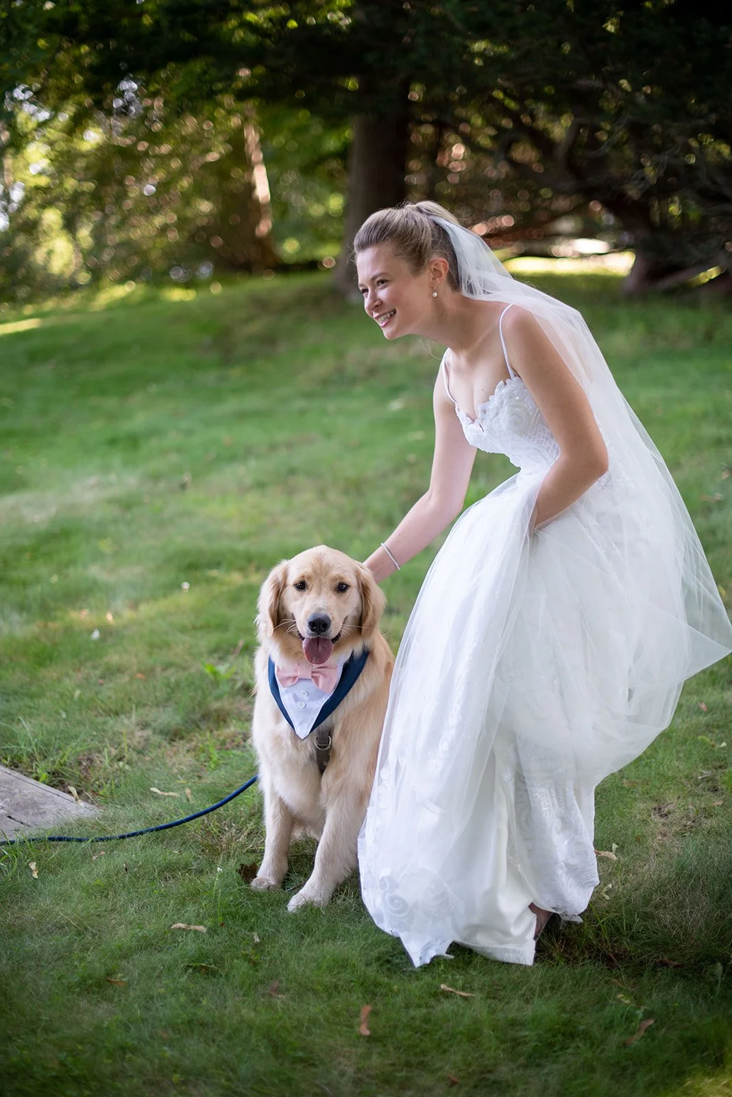 Andreozzi Stark 0284.jpg