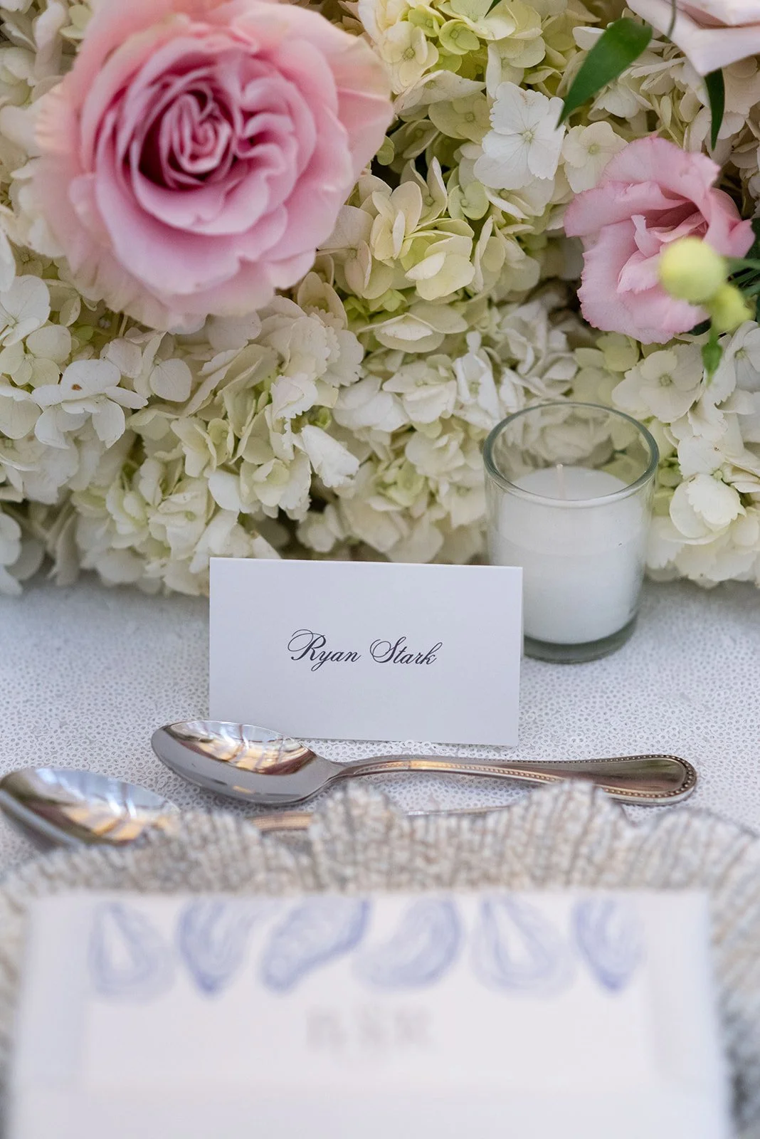 Andreozzi Stark 0869.jpg