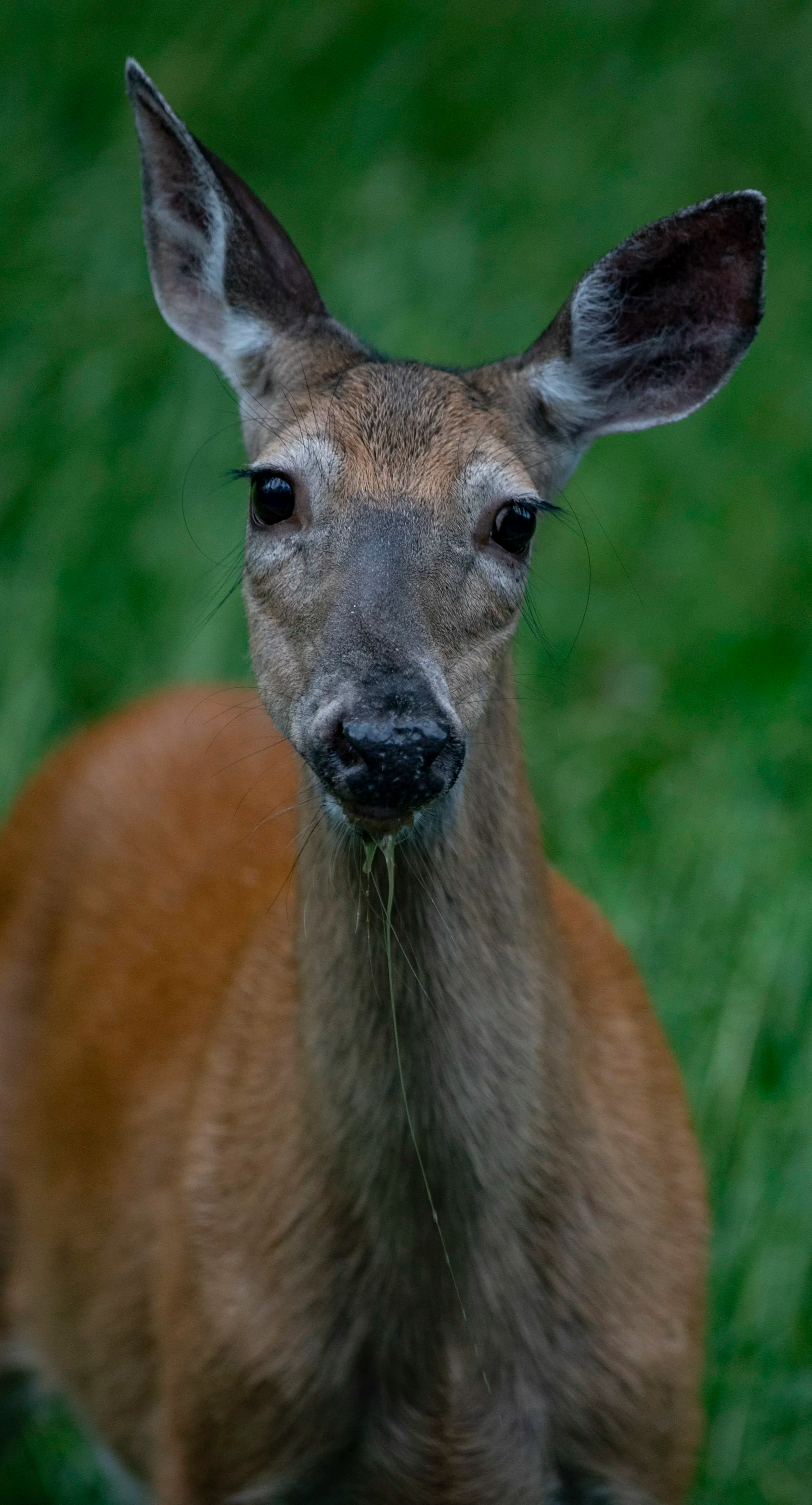 526A7639_1.png