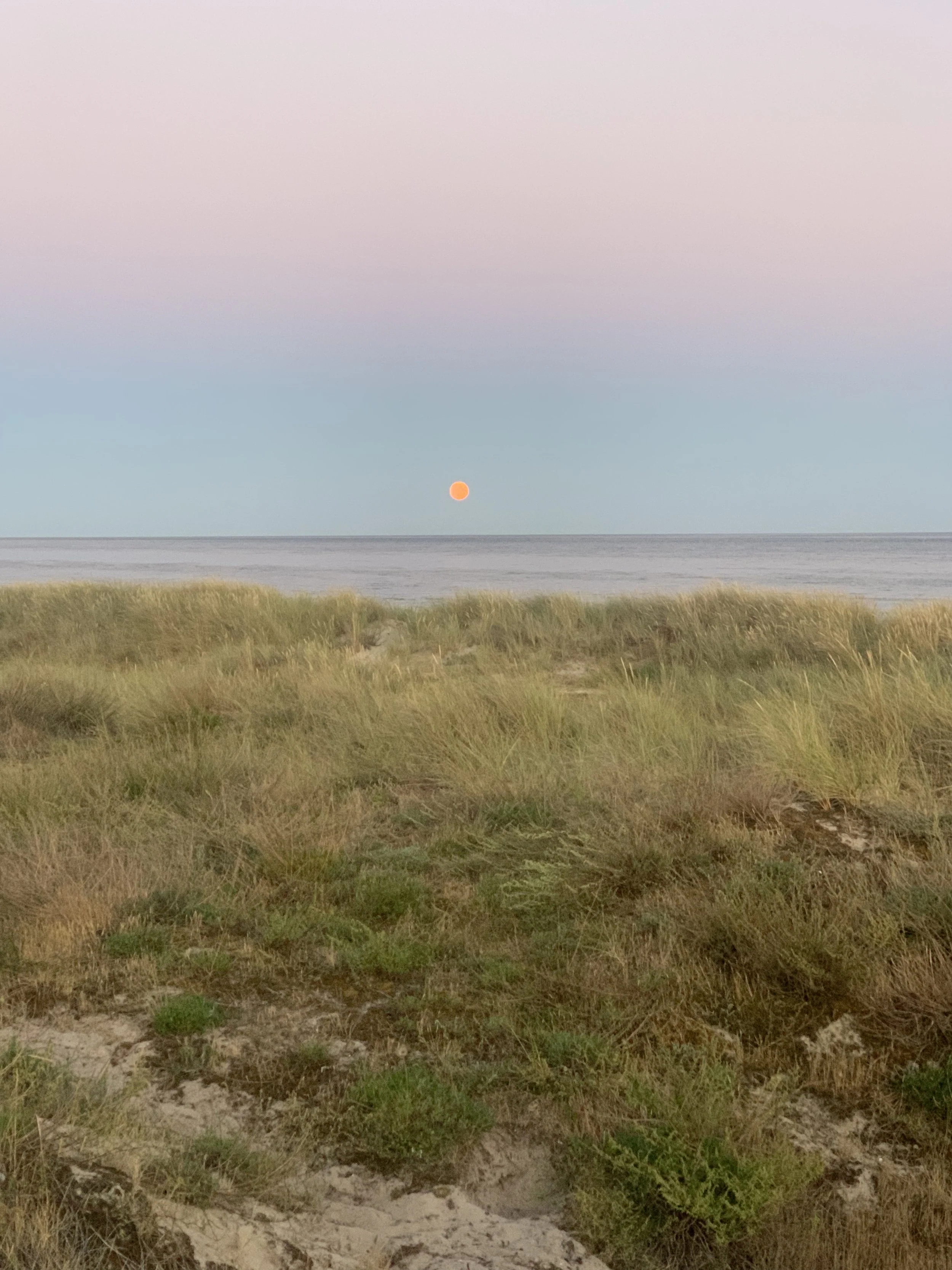 IMG_9893.jpeg
