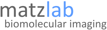 MatzLab | Biomolecular imaging