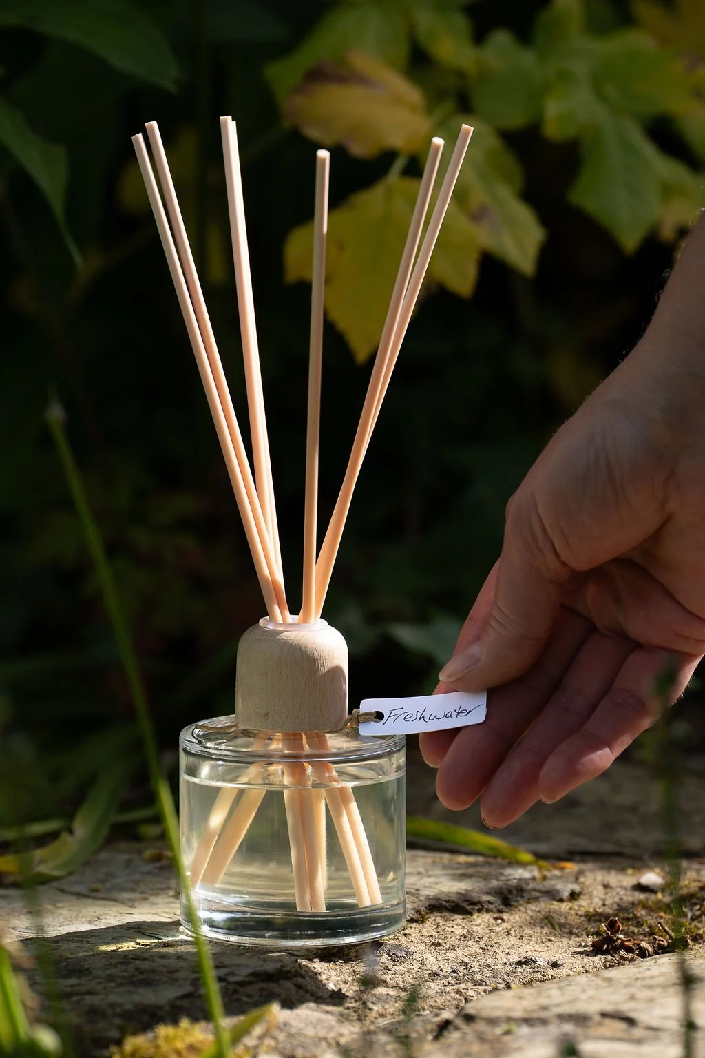 Freshwater Diffuser