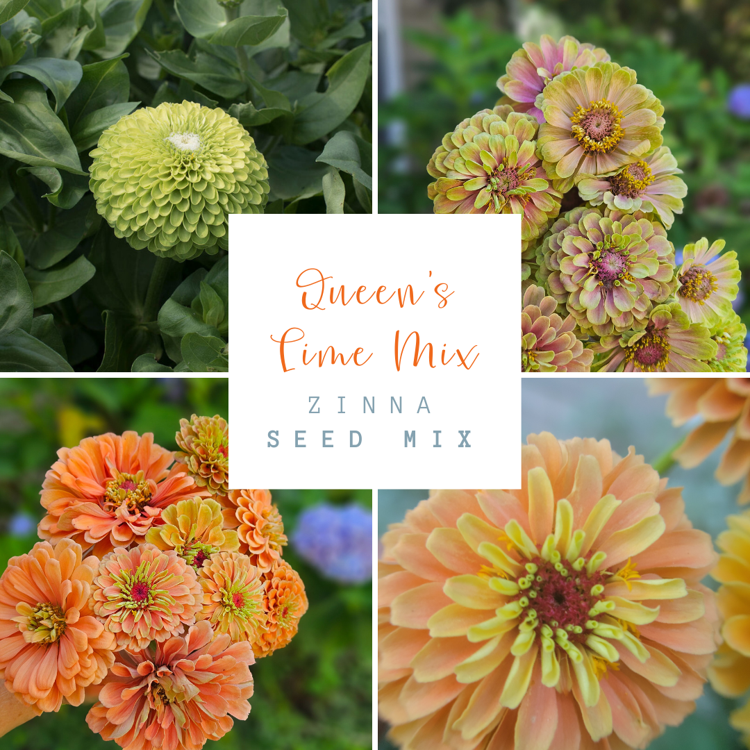 Queen's Mix - Zinnia Seed Mix