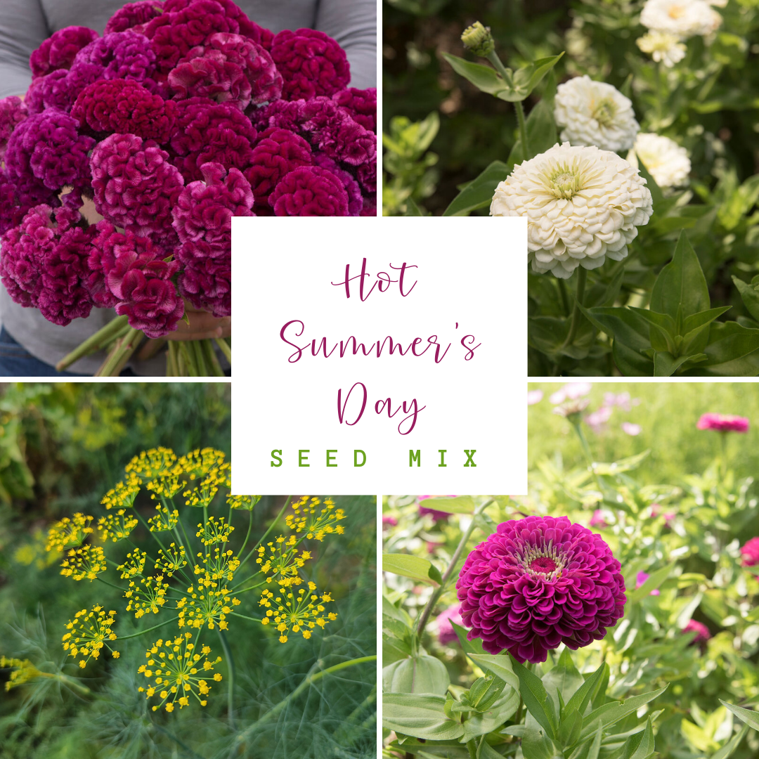 Hot Summer's Day Flower Seed Mix